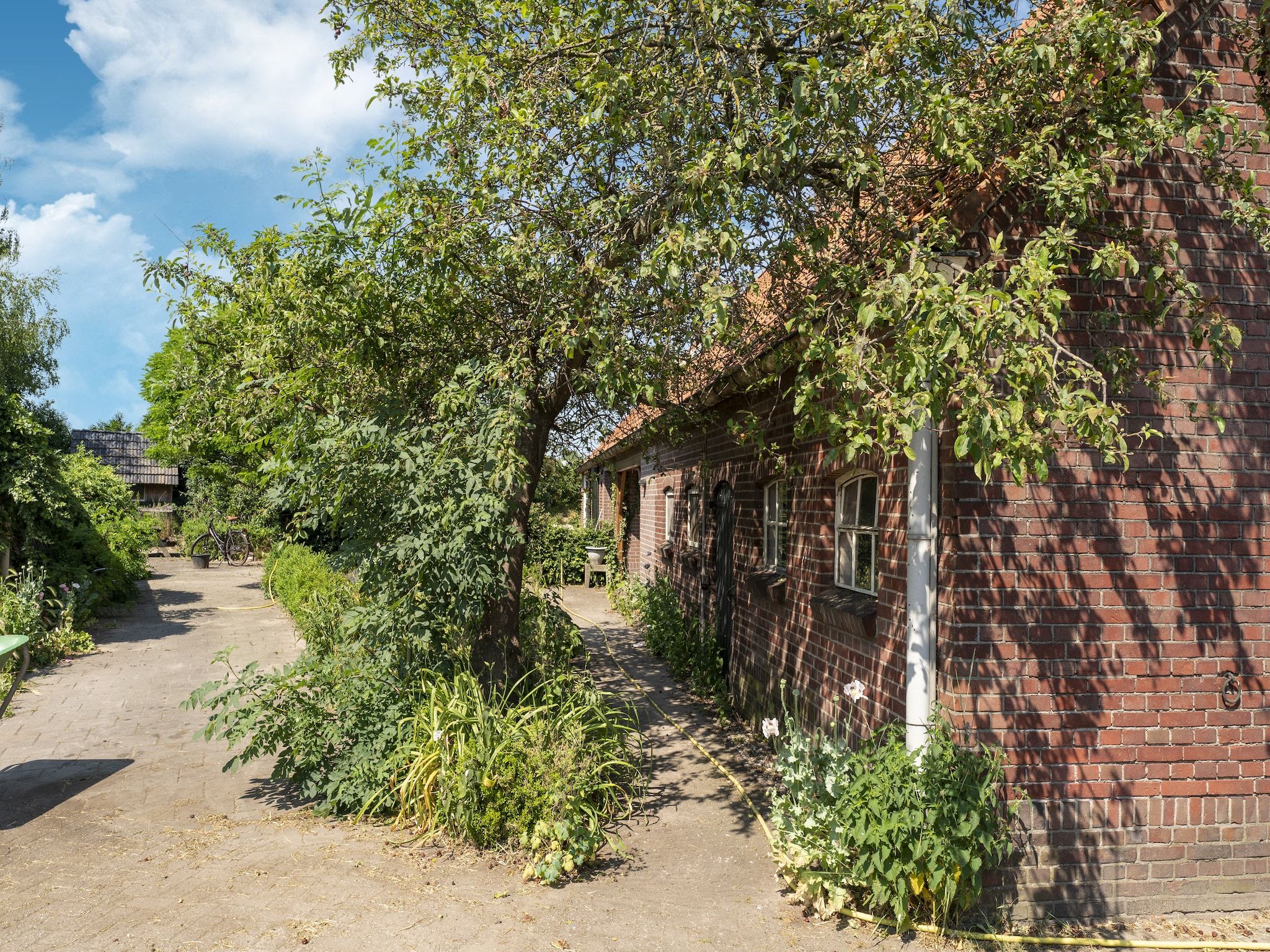De tuin van Vakantiewoning de Zwaluw in Eibergen