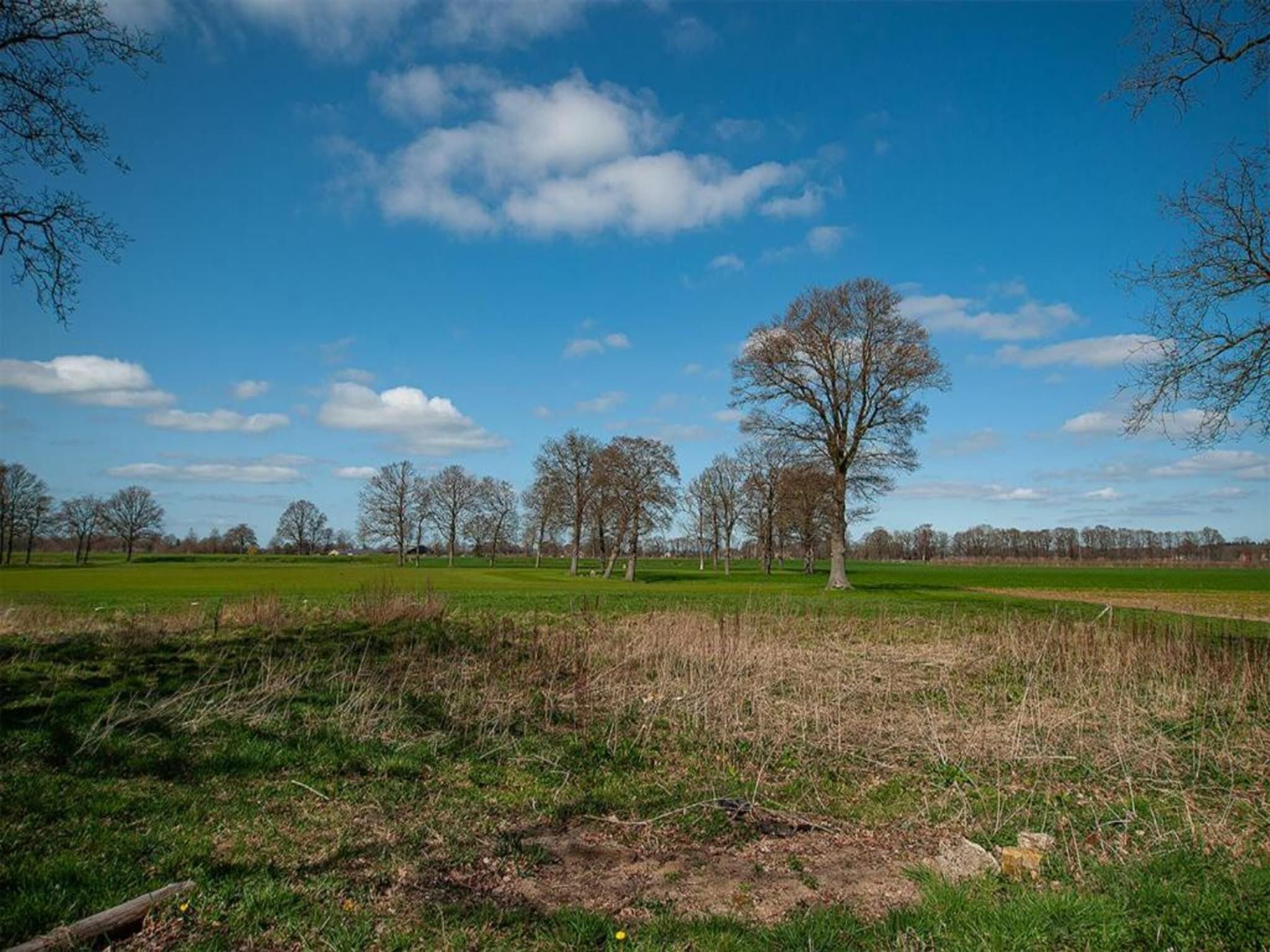 Vakantiewoning de Zwaluw in Eibergen - Foto 38 van 40