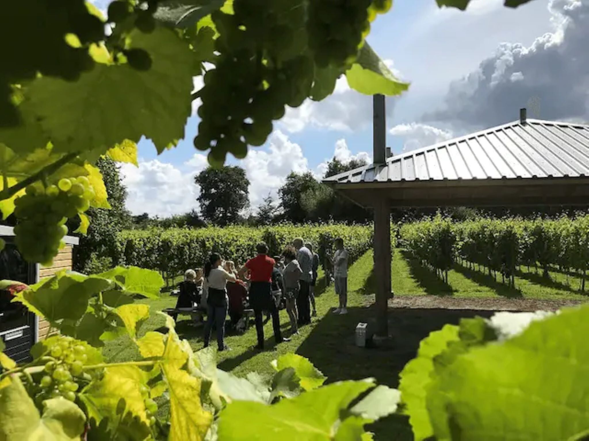 Twee Glamour tenten "Kreas" en "Smuk" naast elkaar in Twijzel - Foto 30 van 40