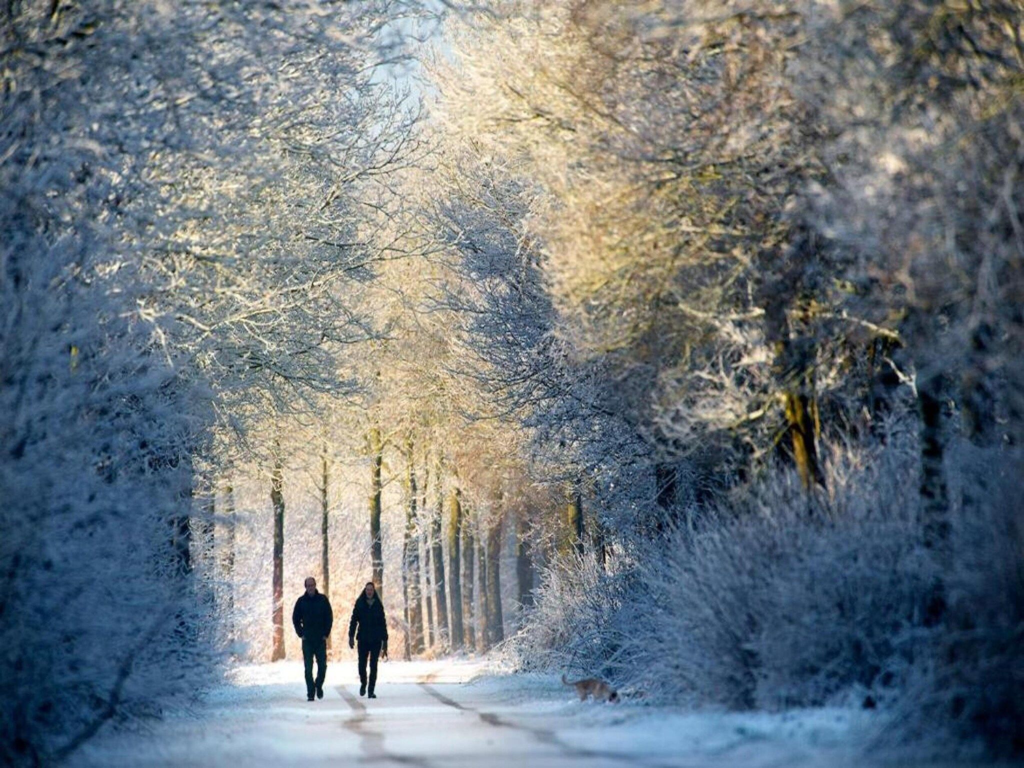 Twee Glamour tenten "Kreas" en "Smuk" naast elkaar in Twijzel - Foto 33 van 40