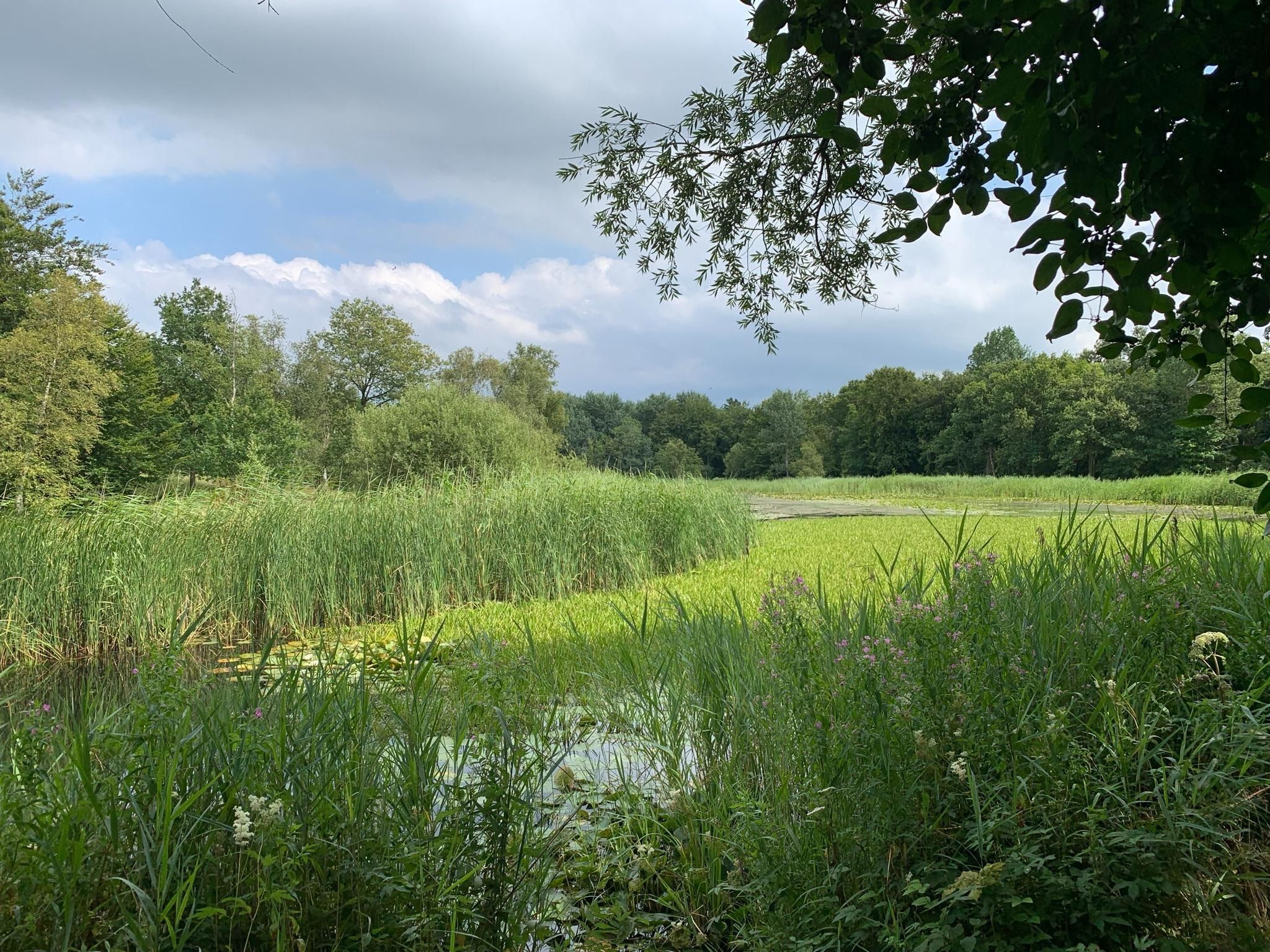 Lake view villa met zwem- vissteiger in Simonshaven - Foto 29 van 40
