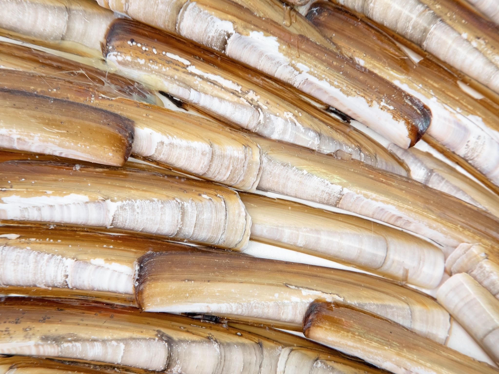 Sfeerbeeld van Wulpenweid 12 in Den Burg