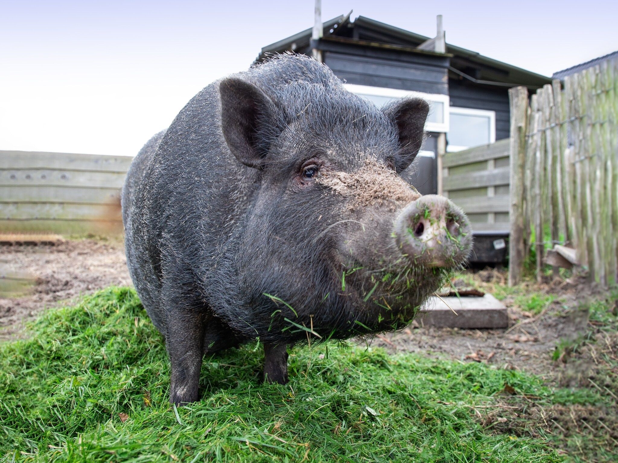 Sfeerbeeld van Wulpenweid 14 in Den Burg
