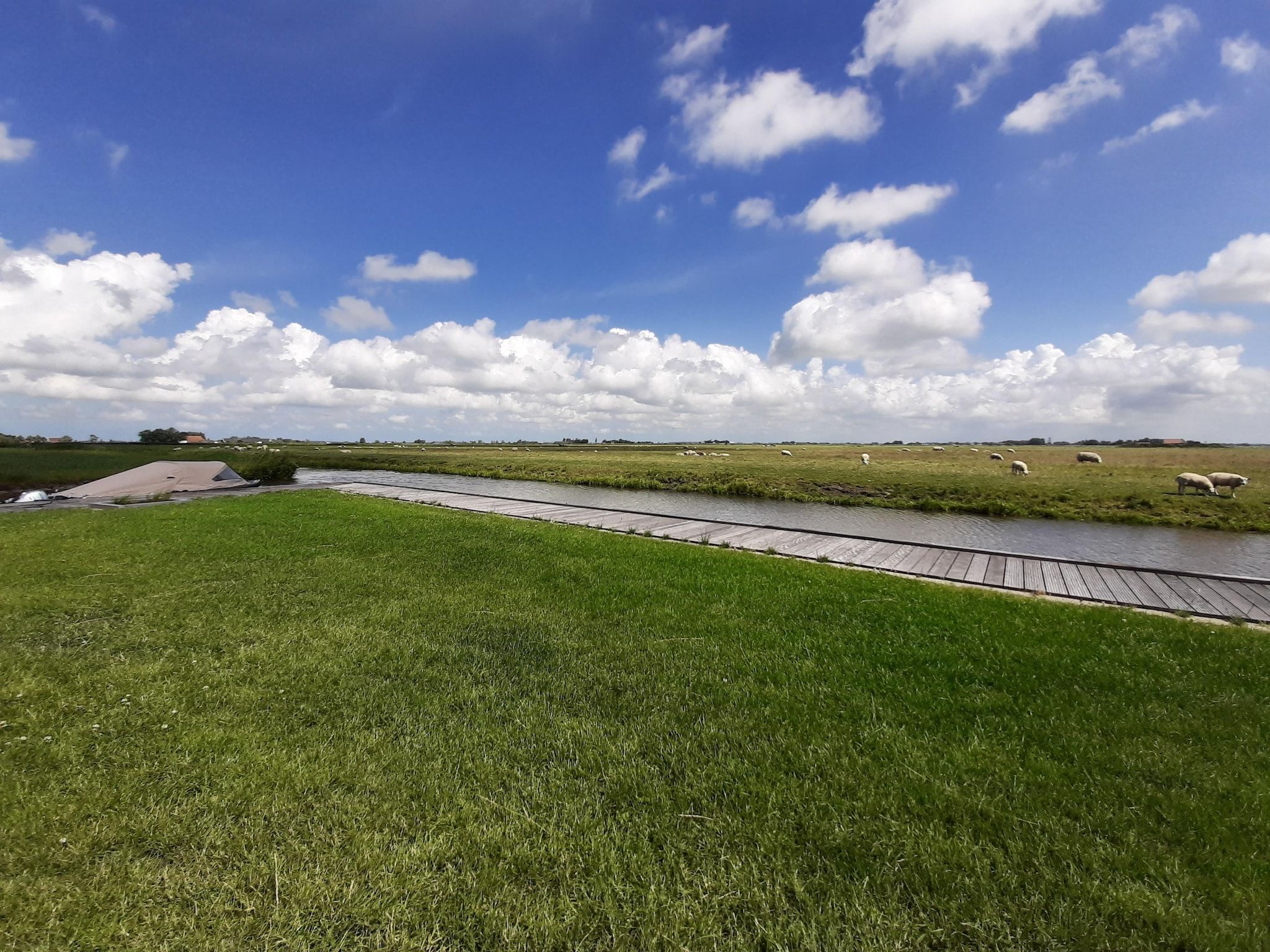 De tuin van Friese Villa - 6 persoons met sloep optioneel bij te boeken in Leons