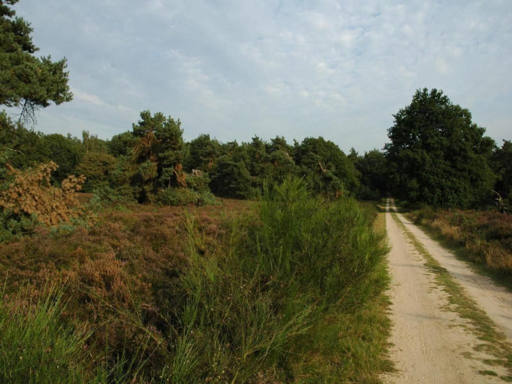 Landgoed De IJsvogel 12 in Voorthuizen - Foto 29 van 41