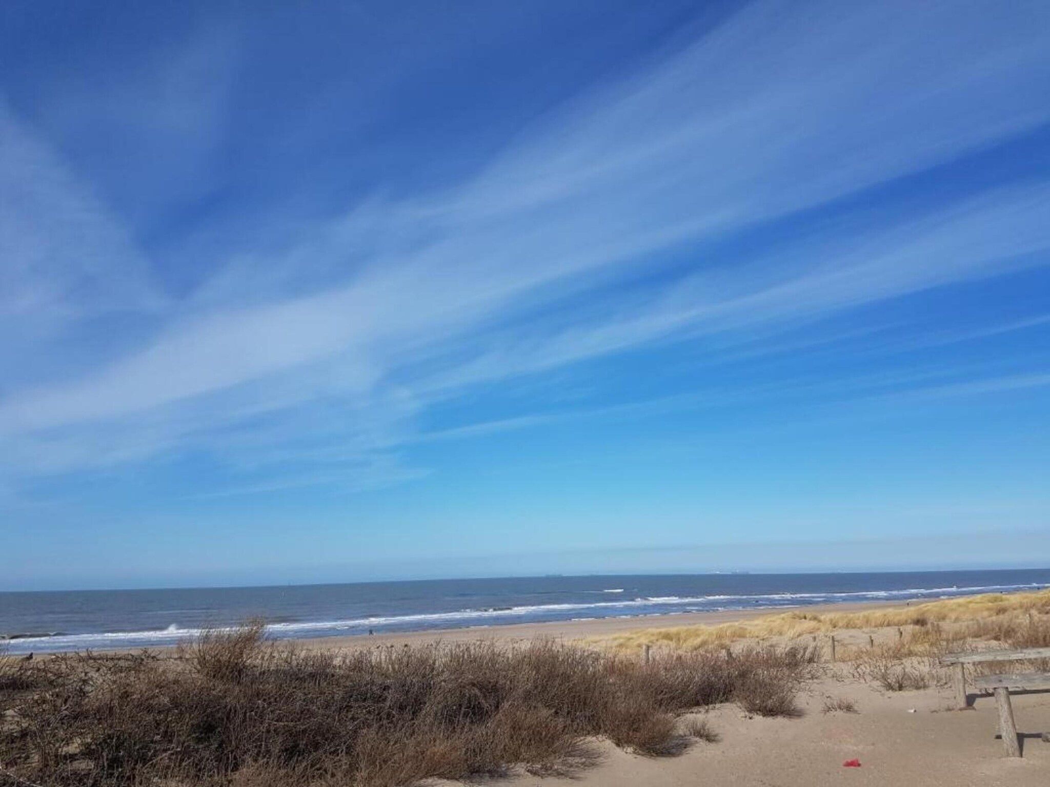 De omgeving van Scheveningen Harbour 16 in Scheveningen