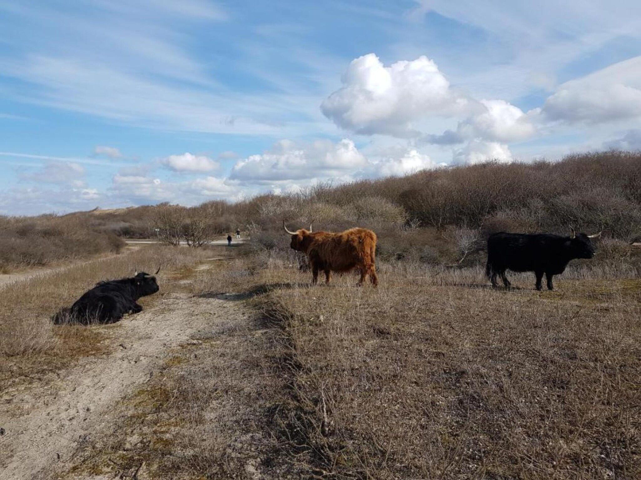 De omgeving van Scheveningen Harbour 16 in Scheveningen