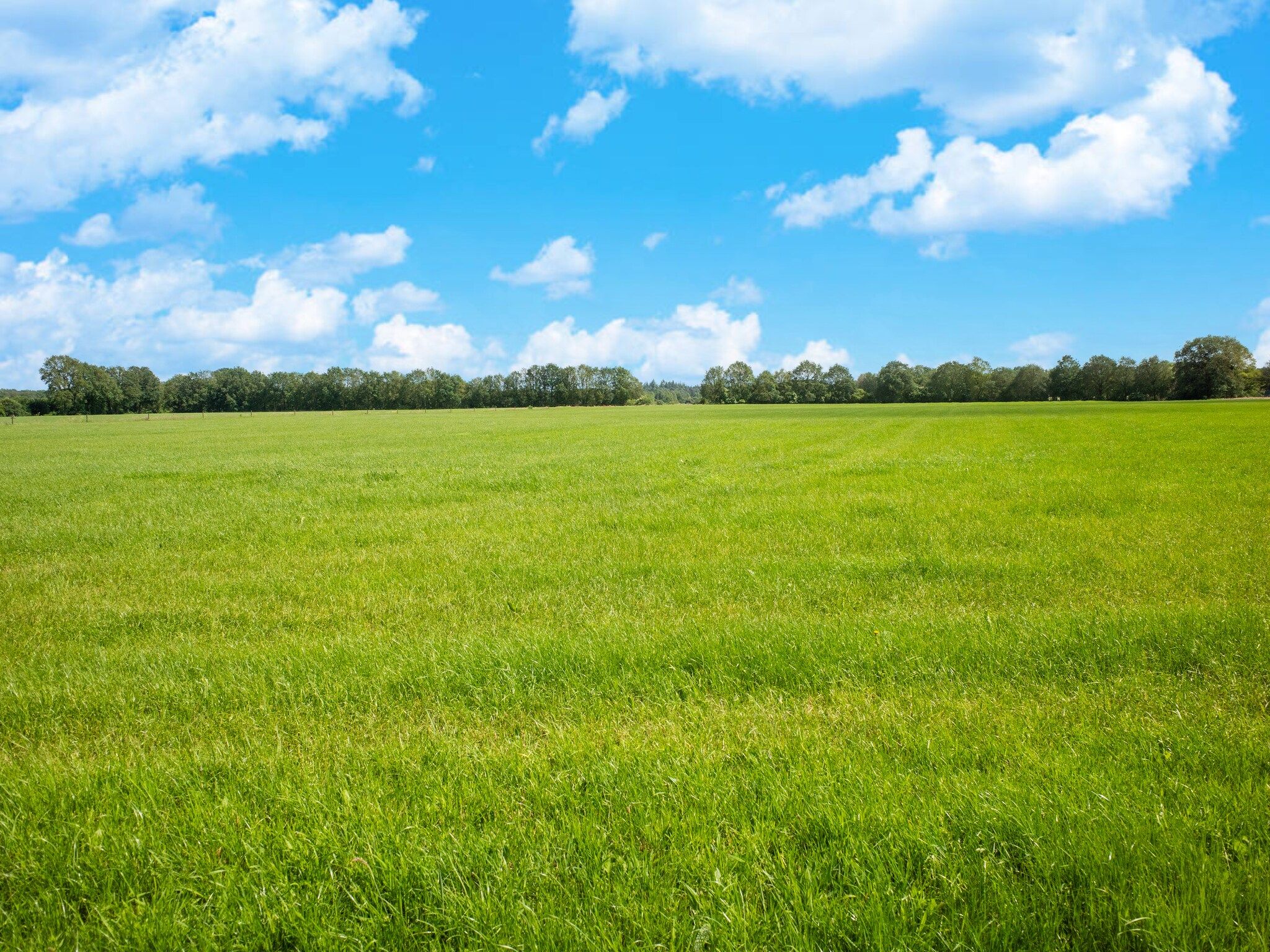 Luxe vakantiehuis Veluwe met Wellness in Veluwe - Foto 21 van 31