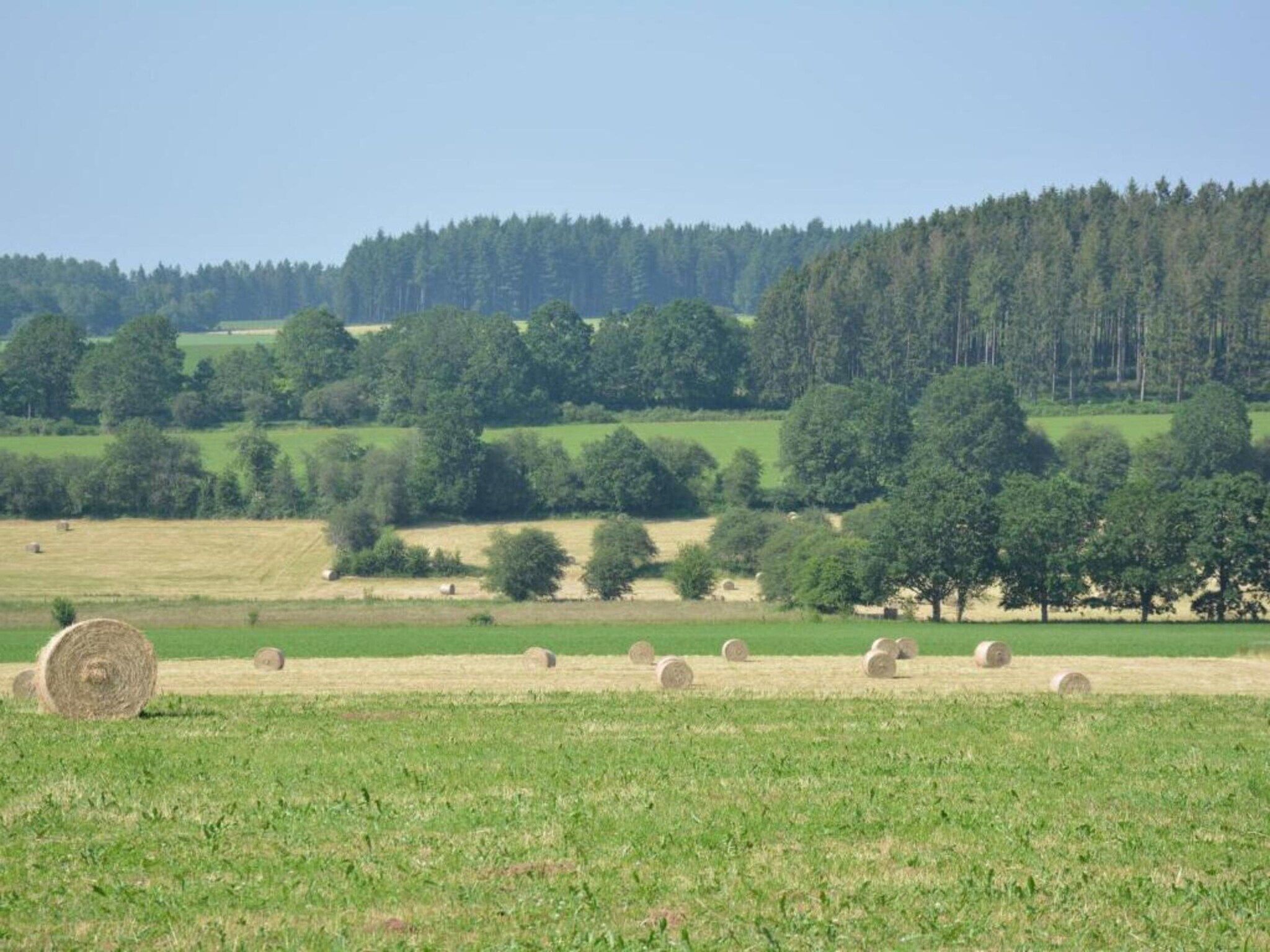 Luxe vakantiehuis Veluwe met Wellness in Veluwe - Foto 23 van 31