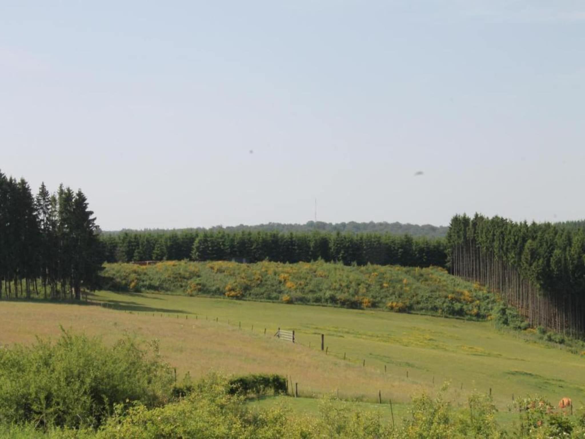 Luxe vakantiehuis Veluwe met Wellness in Veluwe - Foto 22 van 28