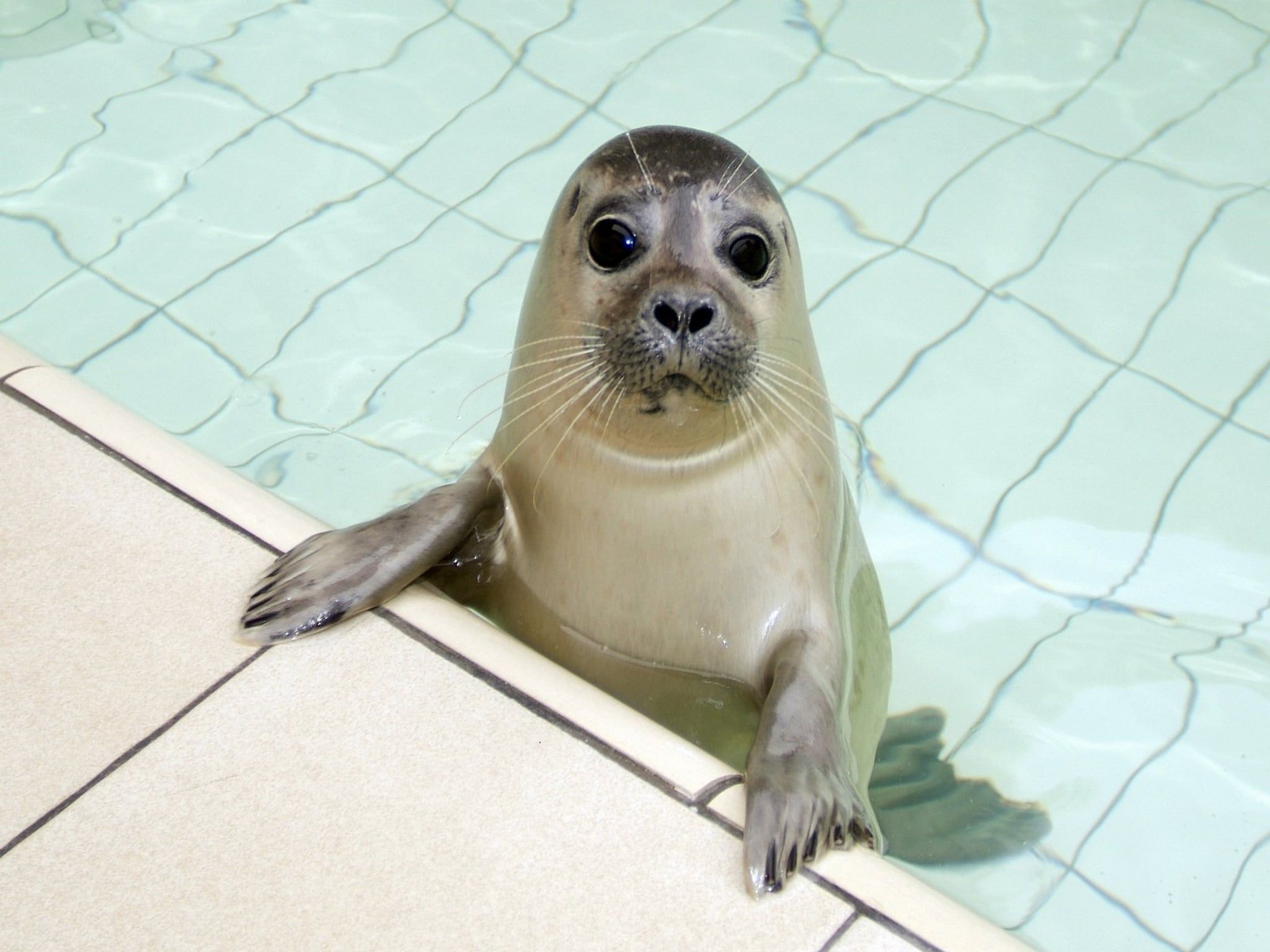 De omgeving van So What 25b in De Koog