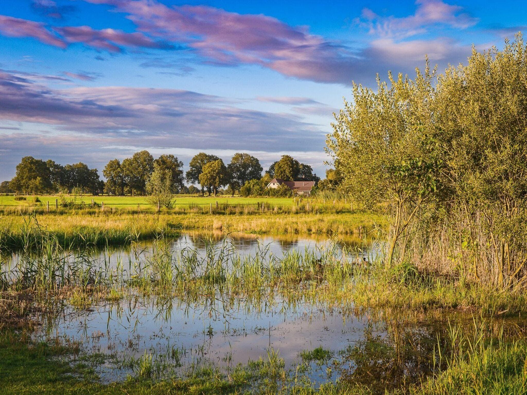 De omgeving van Vakantiepark Mölke 36 in Zuna