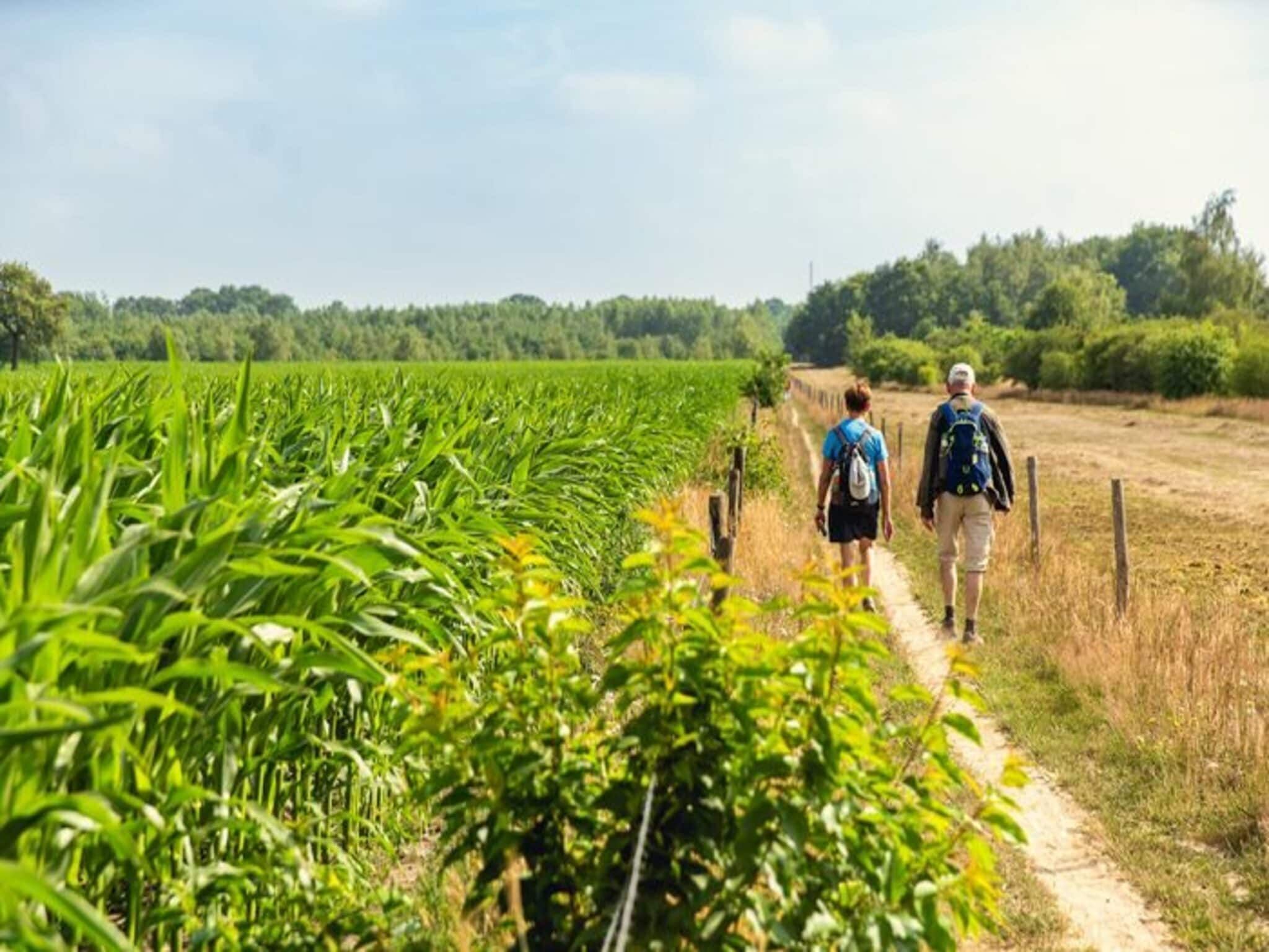De omgeving van Vakantiepark Mölke 36 in Zuna