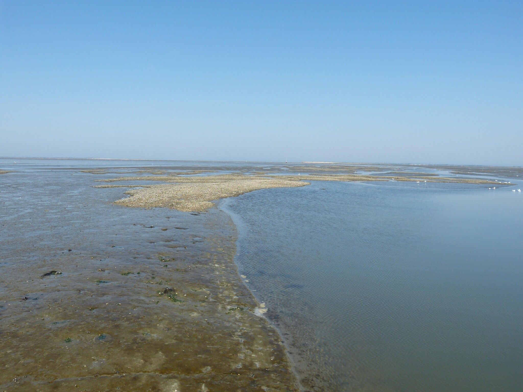 13-17 pax holiday home with separated apartments and gardens in Ternaard - Foto 37 van 37