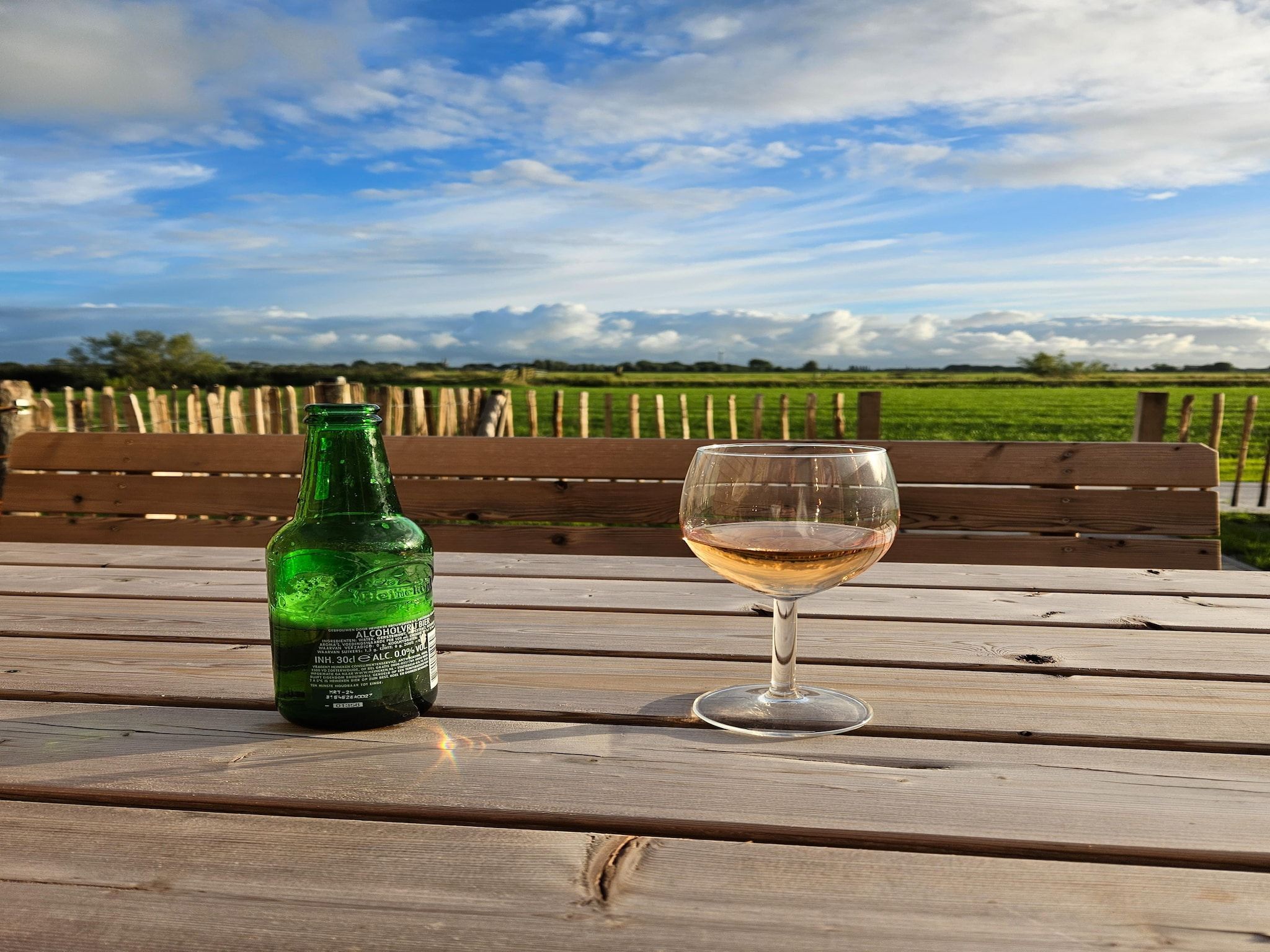 Sfeerbeeld van Friese villa in Leons