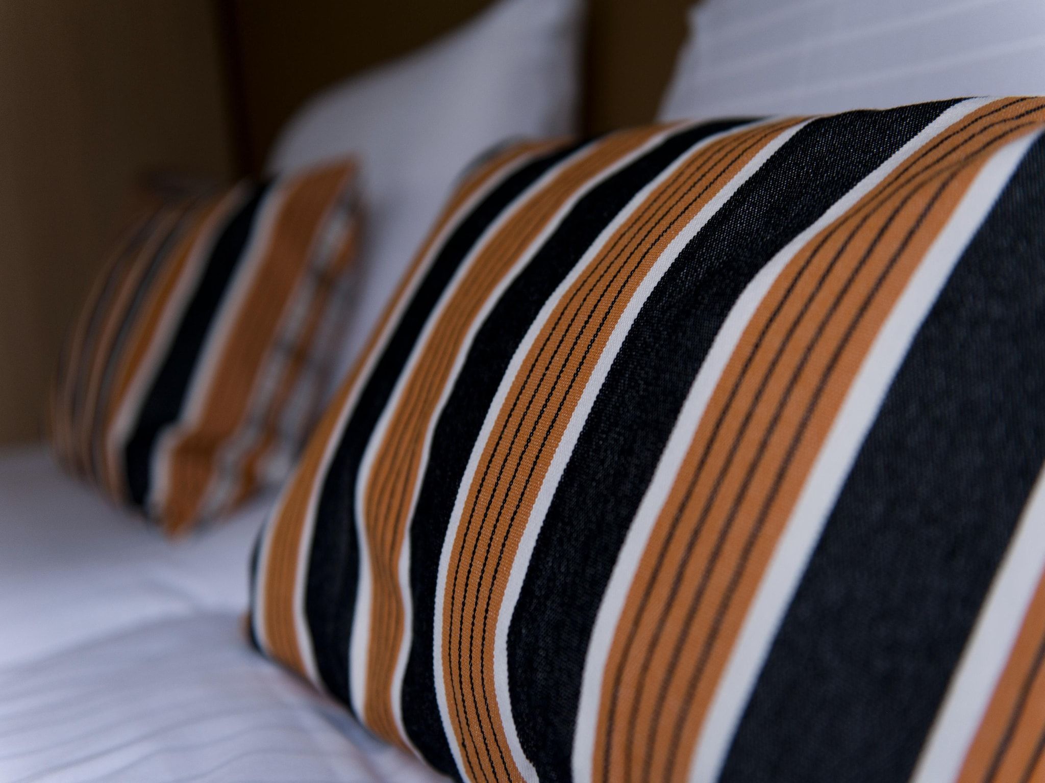 Sfeerbeeld van 20 pers groot Abeltjeshuis Wellness de luxe met buitenspa in Vlagtwedde