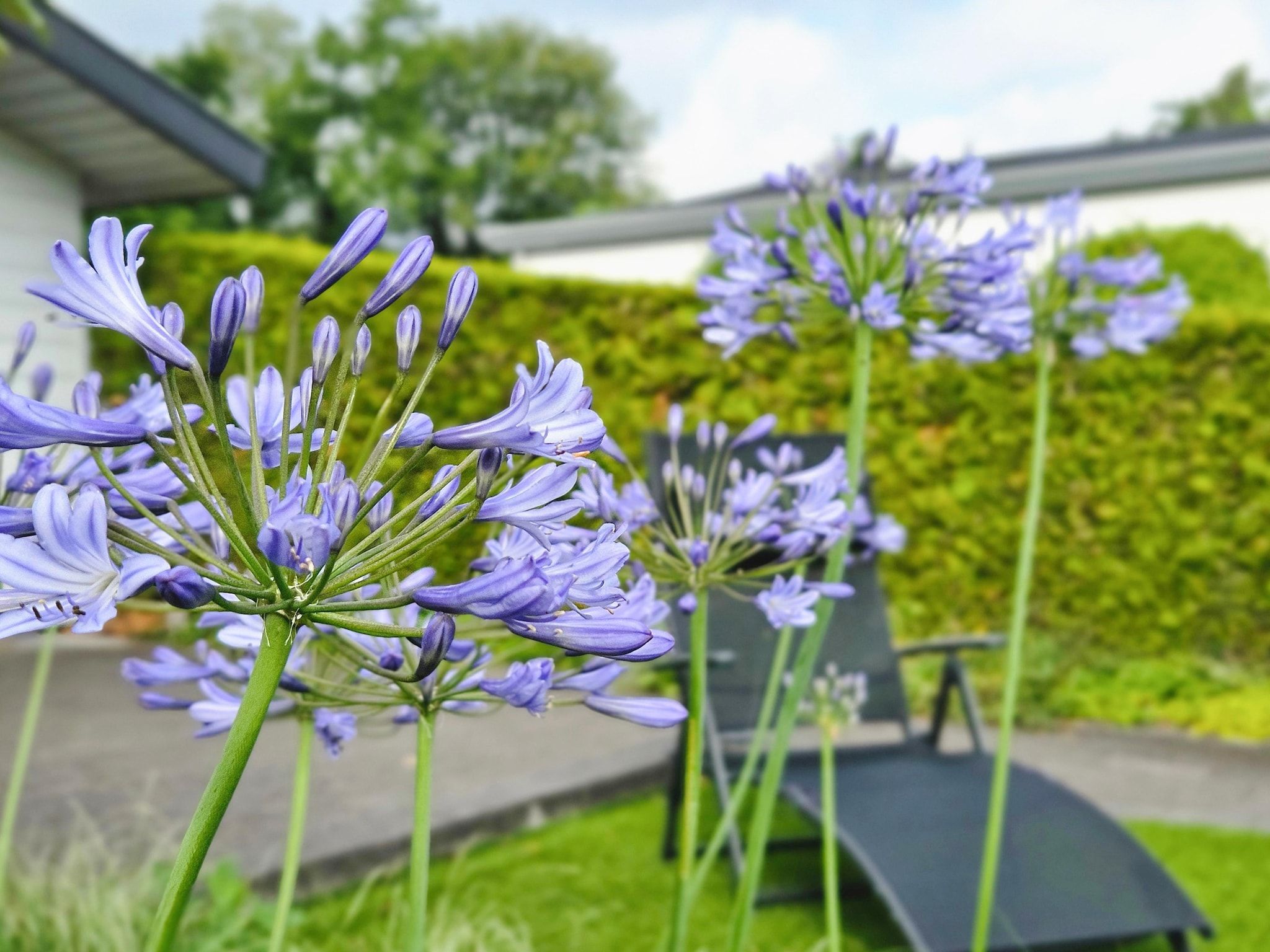 Sfeerbeeld van Kieftveen 18-535 Bamboo house in Voorthuizen