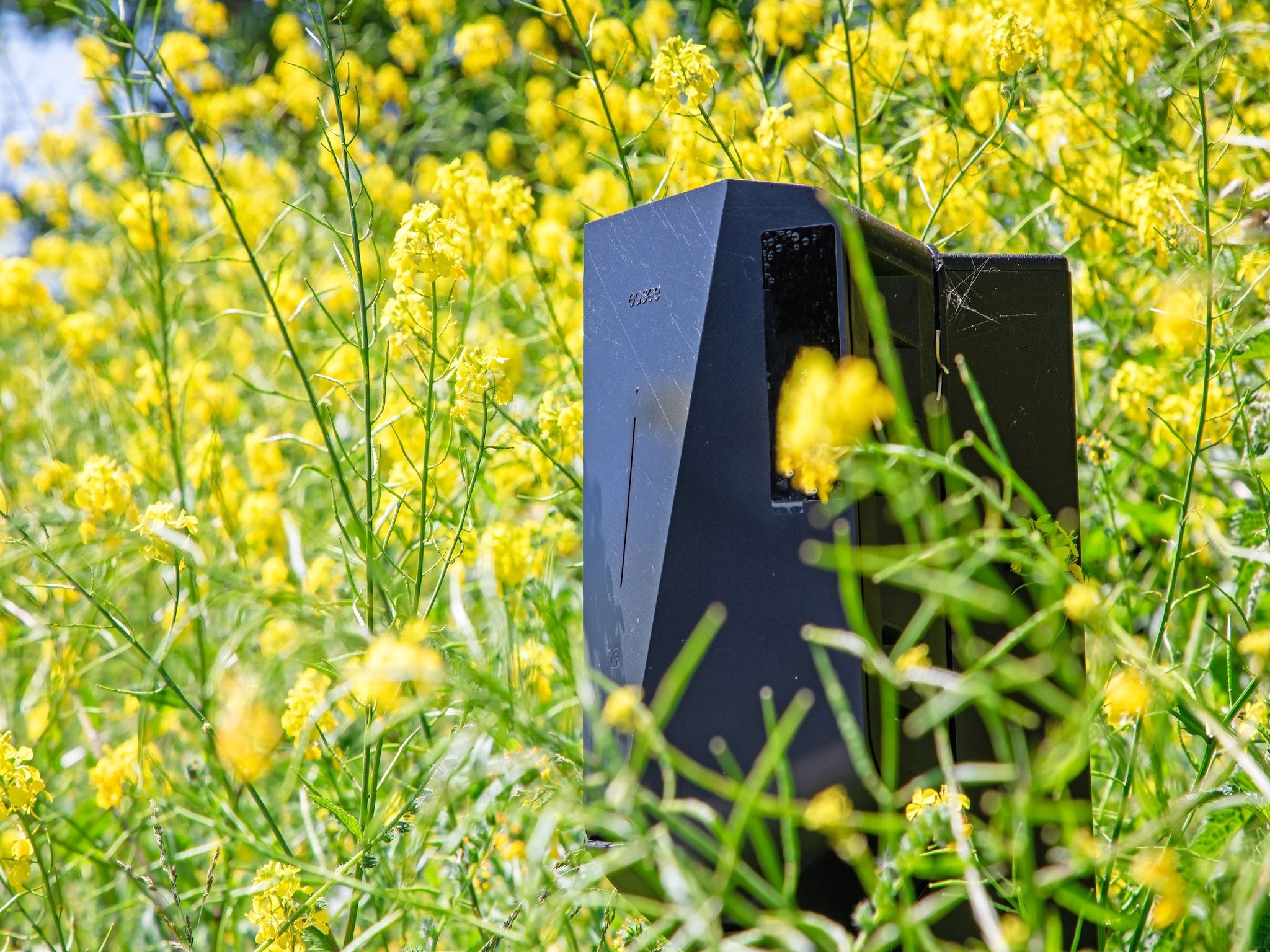 Sfeerbeeld van Familievilla Nieuw-Zeeland in Oosterend