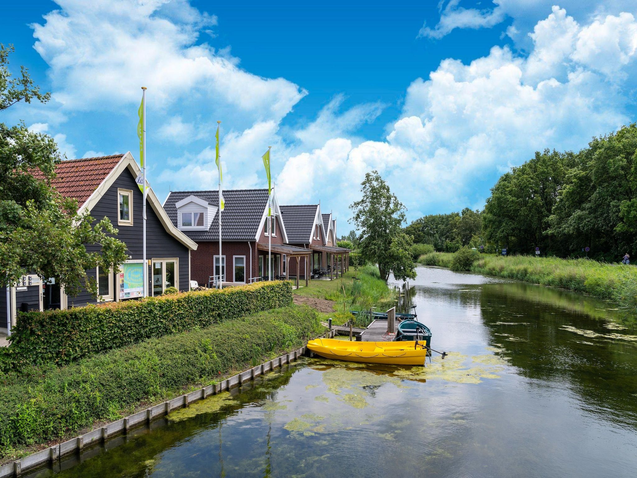 Kuifduiker 5 in Simonshaven - Foto 28 van 40