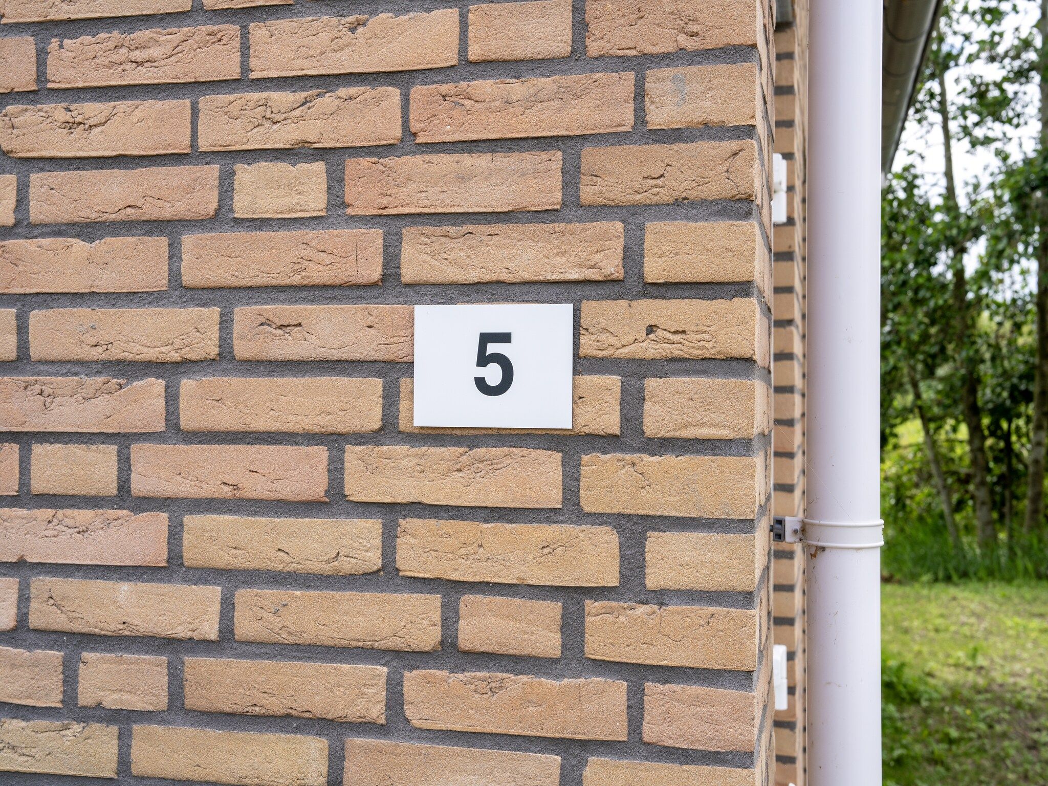 Sfeerbeeld van Kuifduiker 5 in Simonshaven