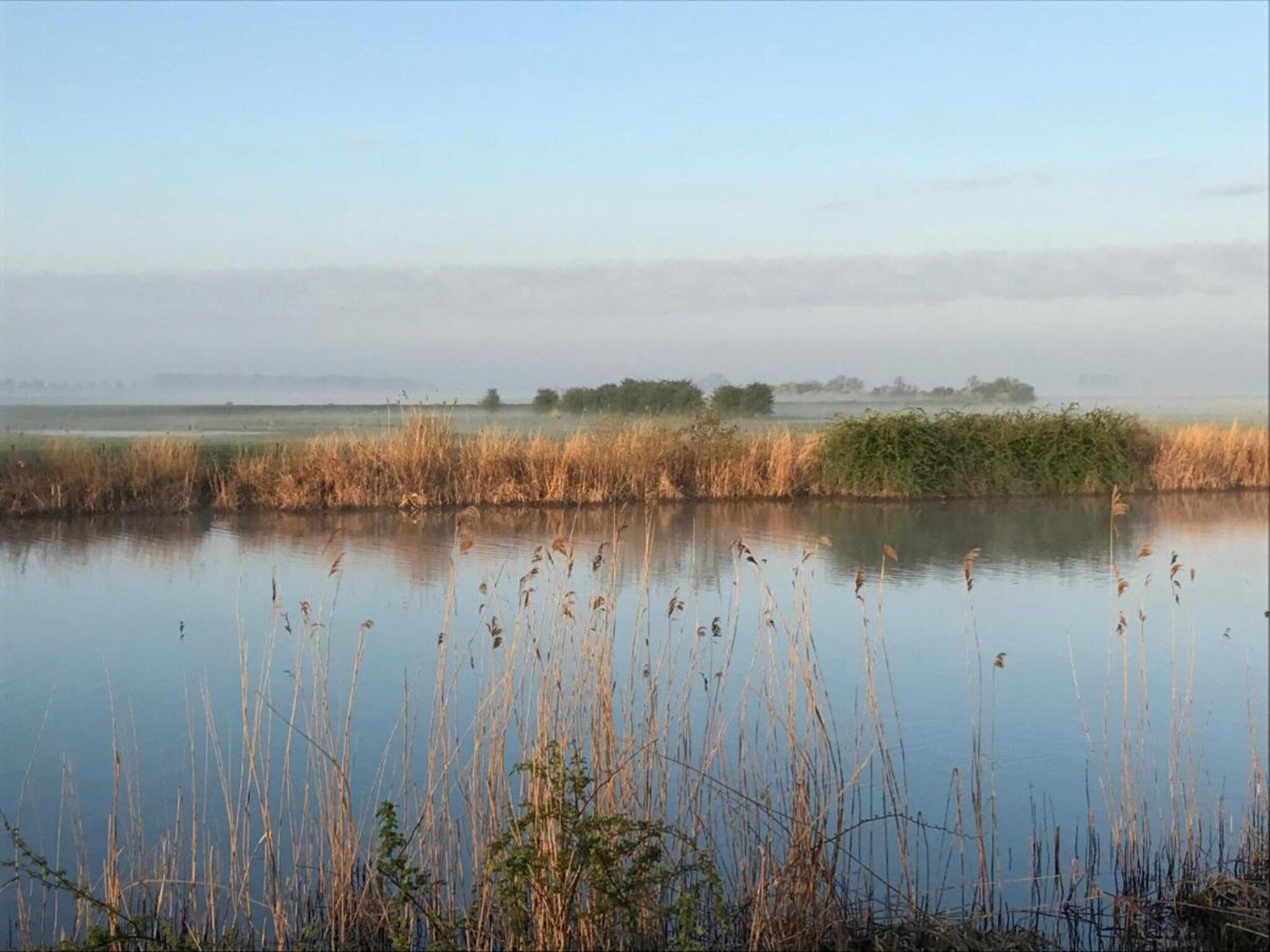 Kuifduiker 5 in Simonshaven - Foto 34 van 40