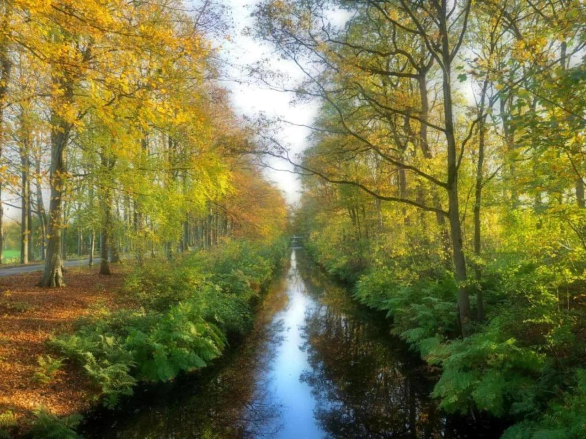 De omgeving van Docklodge 12 in Delfstrahuizen