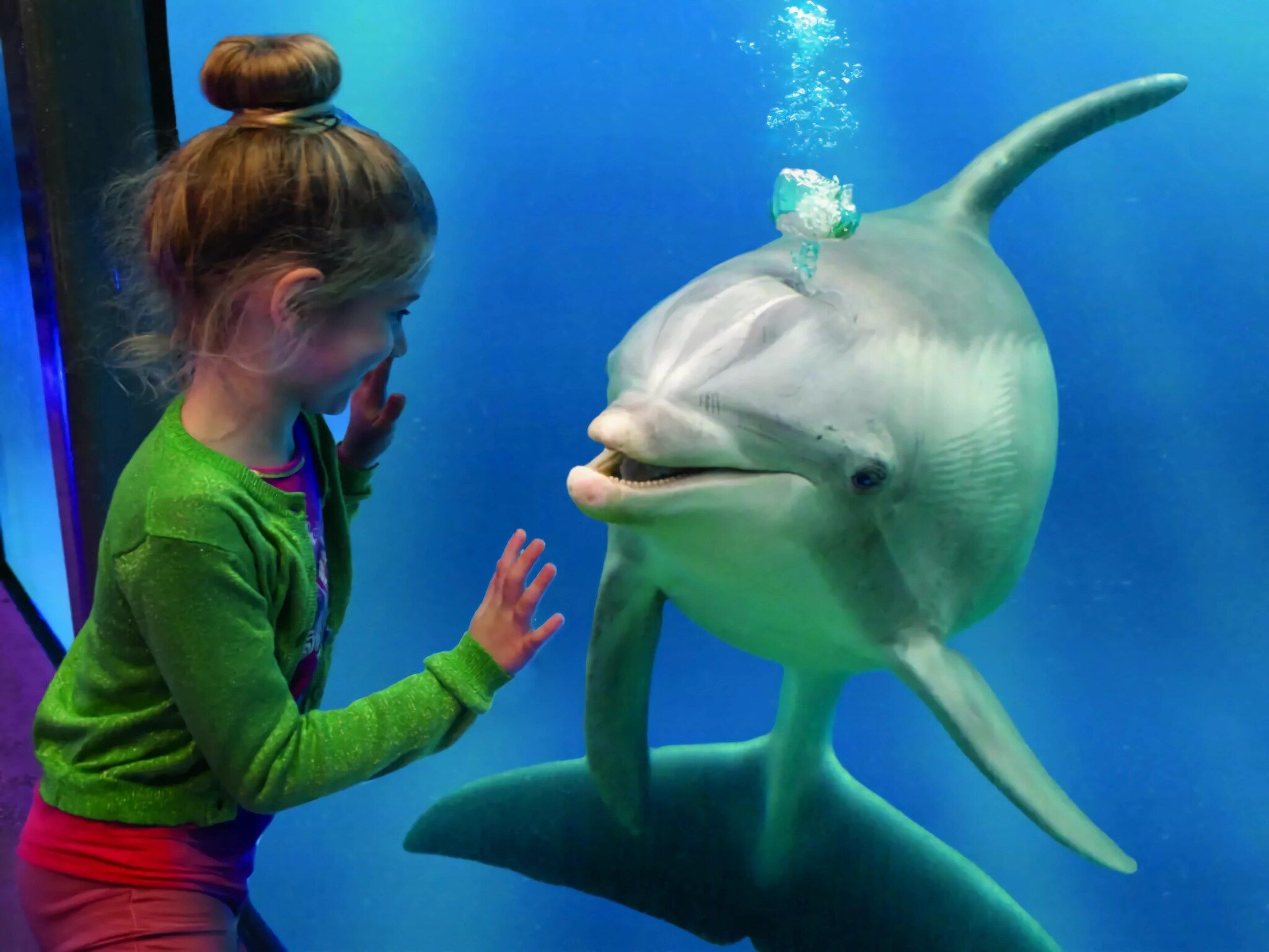 Schoneveld 325 Stern Breskens in Breskens - Foto 17 van 20