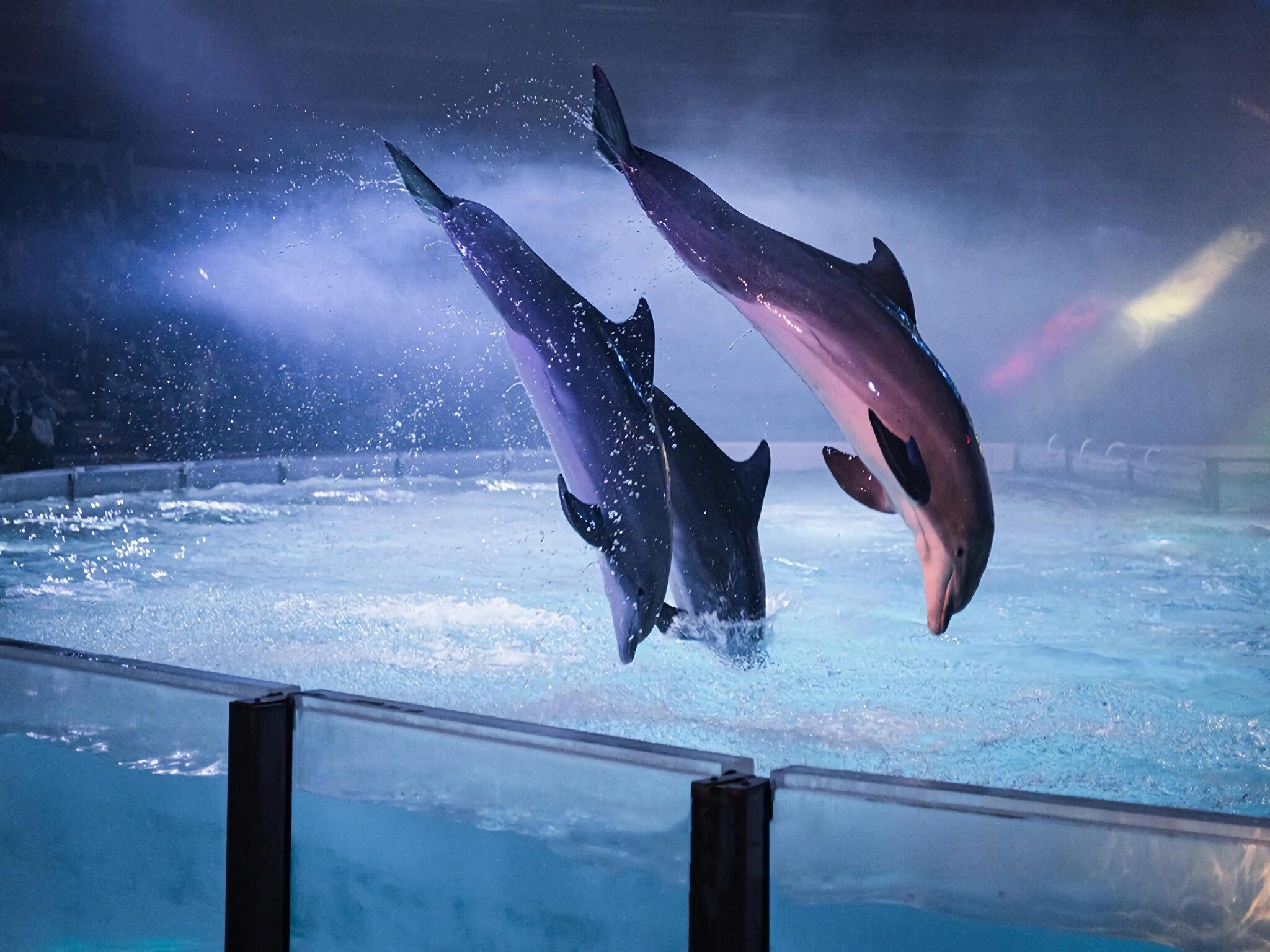 Schoneveld 325 Stern Breskens in Breskens - Foto 18 van 20