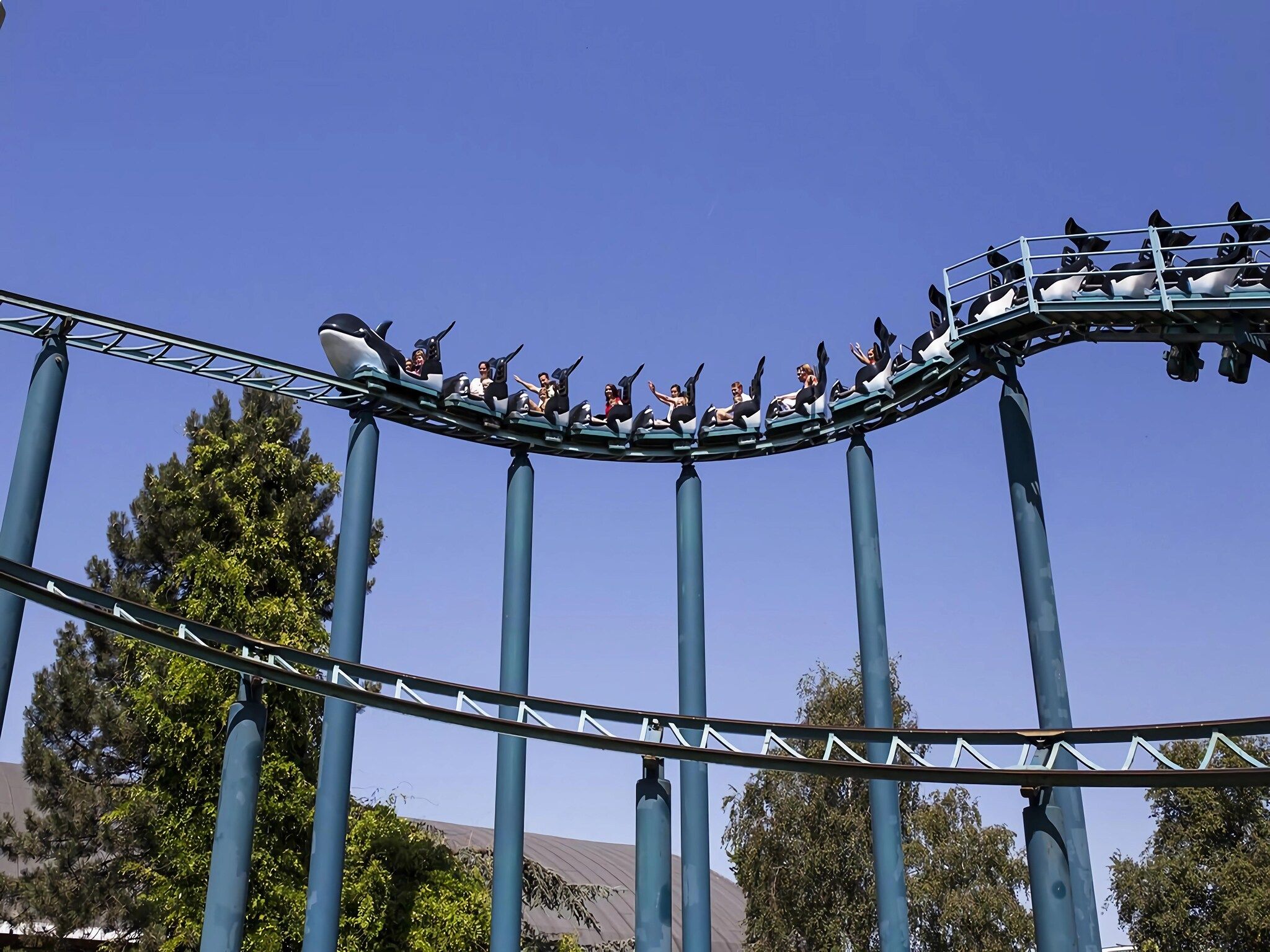 Schoneveld 121 Duinroos Breskens in Breskens - Foto 34 van 36