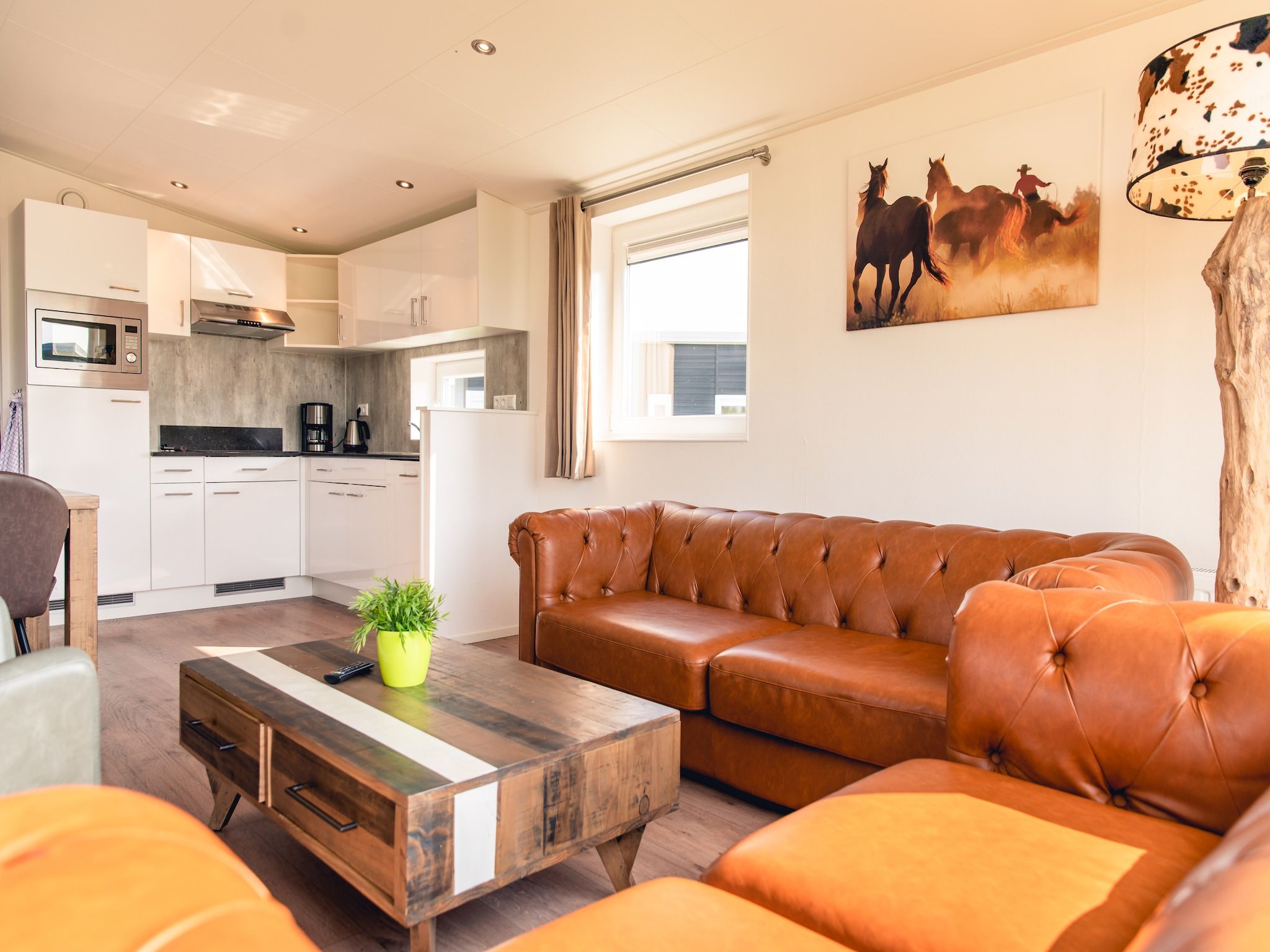 De woonkamer van Raccoon Lodge in Slagharen