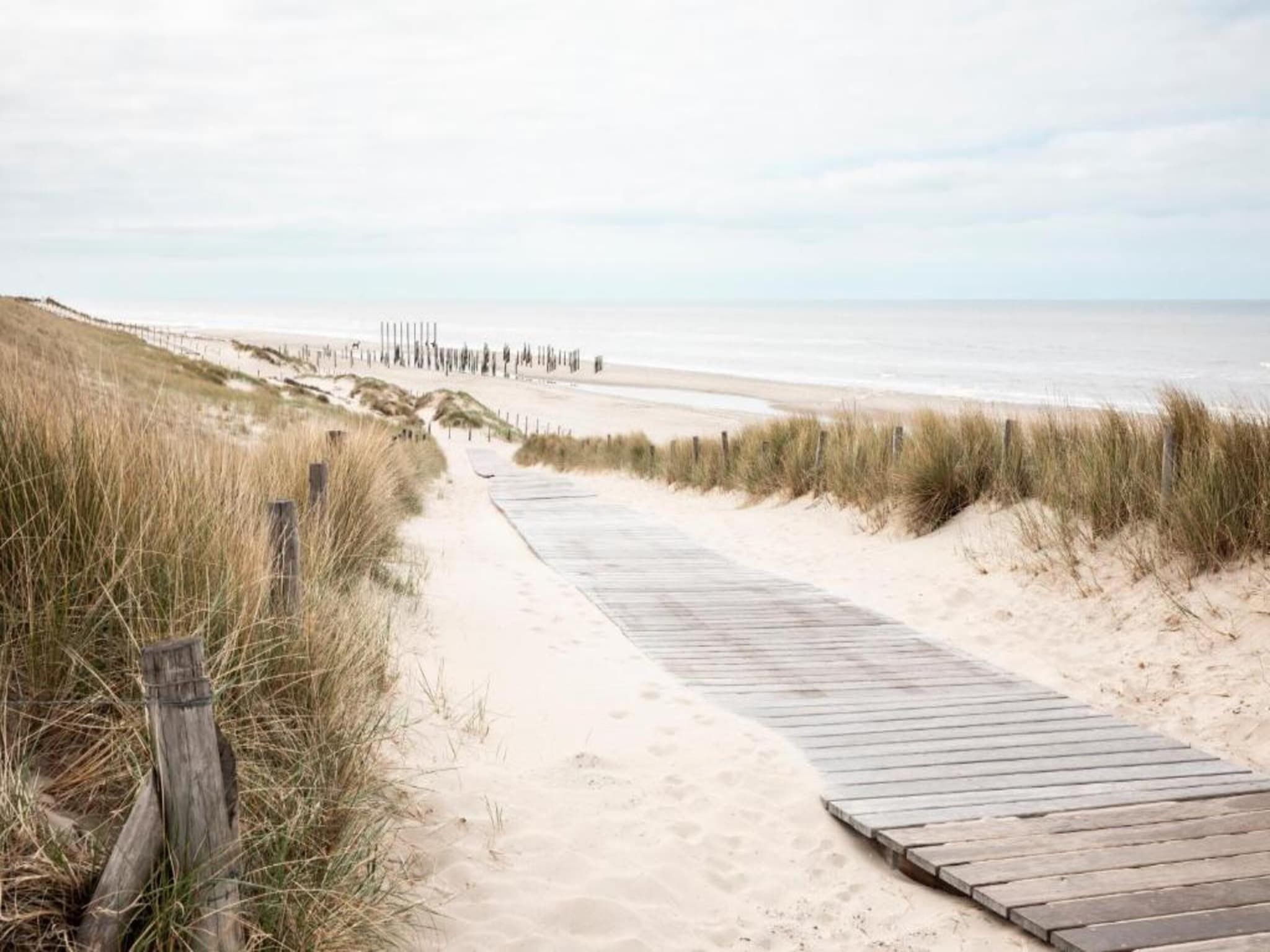 De omgeving van Anzelhoef Apartment Oost in Sint Maartenszee