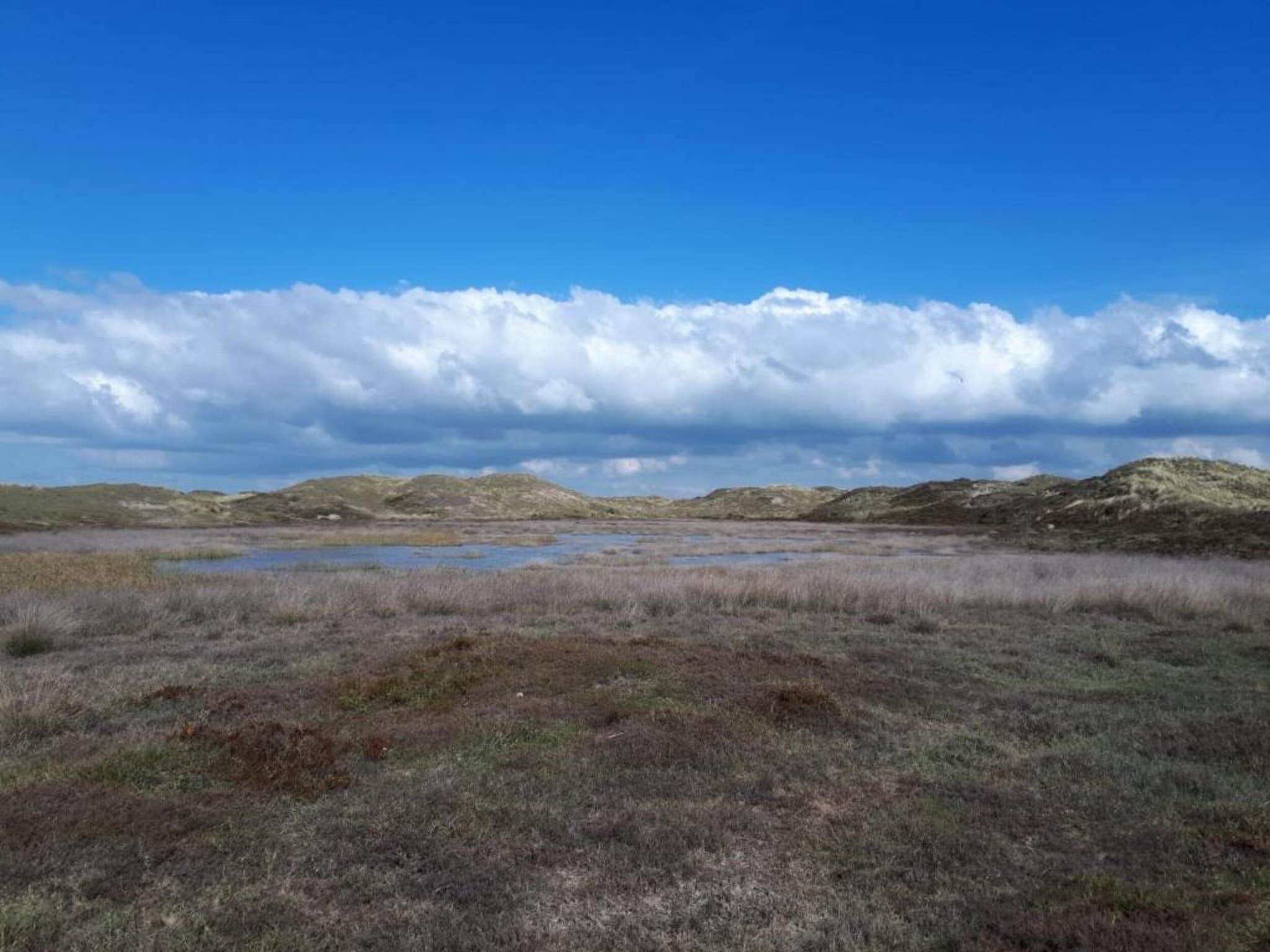De omgeving van Anzelhoef Apartment Oost in Sint Maartenszee