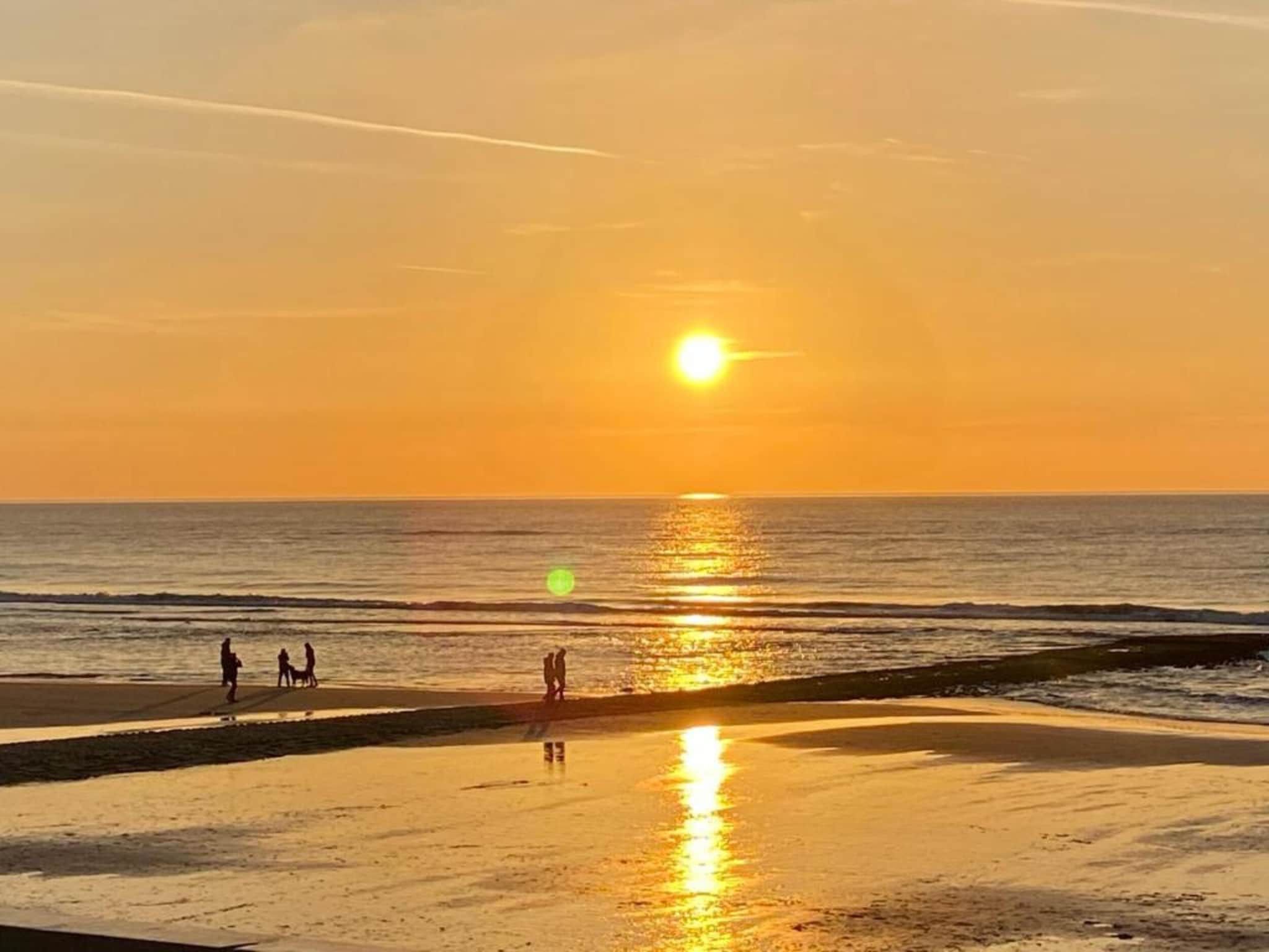De omgeving van Anzelhoef Apartment Oost in Sint Maartenszee