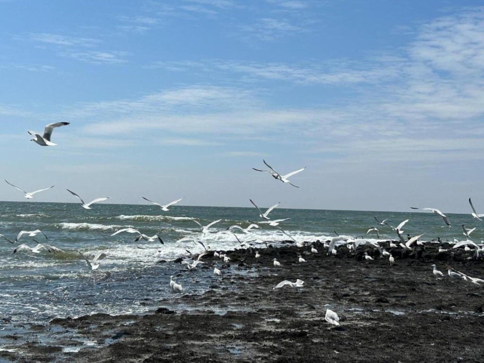 De omgeving van Anzelhoef Apartment Oost in Sint Maartenszee