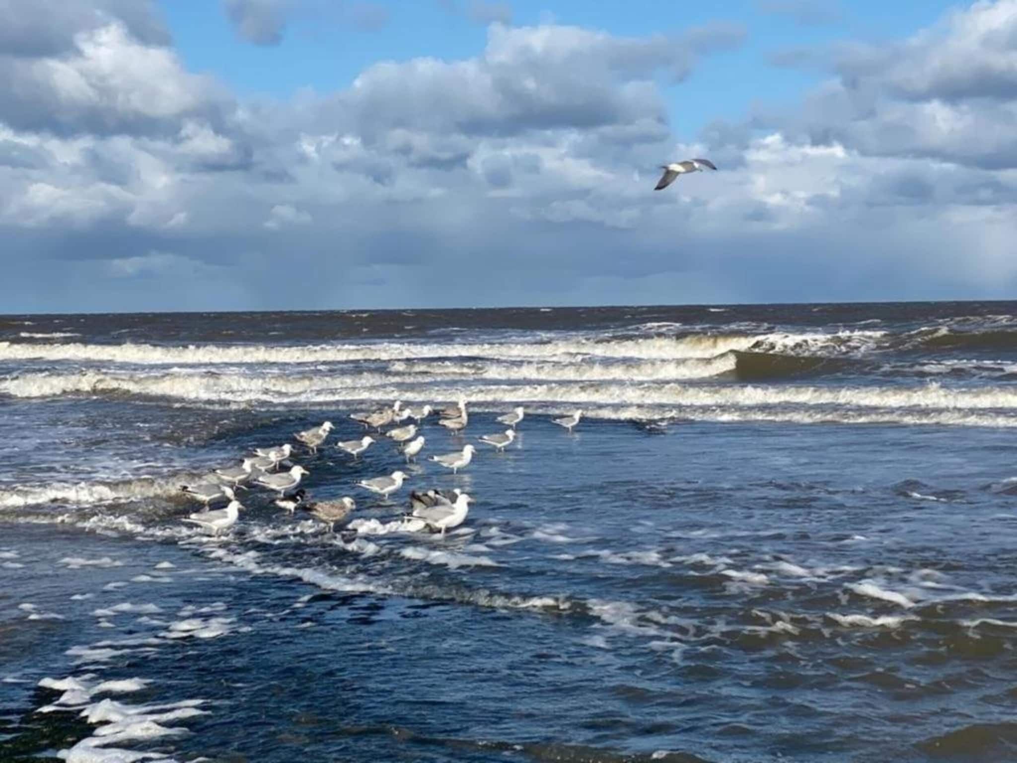 De omgeving van Anzelhoef Apartment Oost in Sint Maartenszee