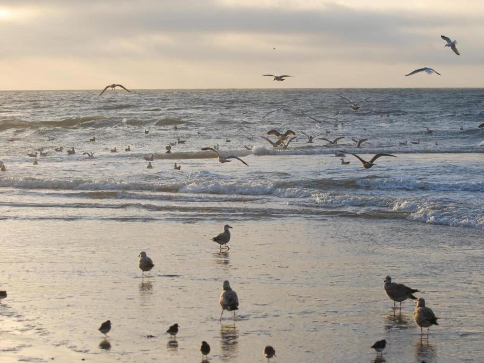 De omgeving van Anzelhoef apartment West in Sint Maartenszee