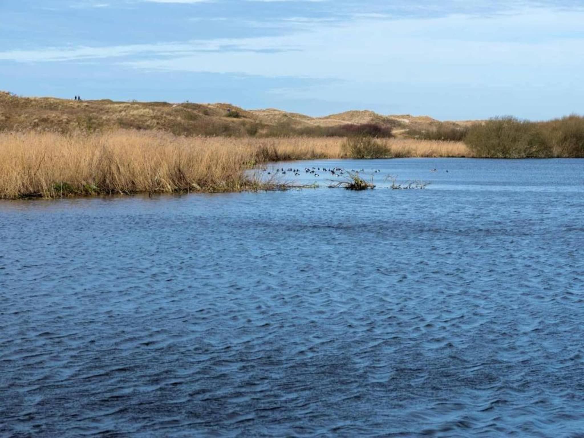 De omgeving van Anzelhoef apartment West in Sint Maartenszee