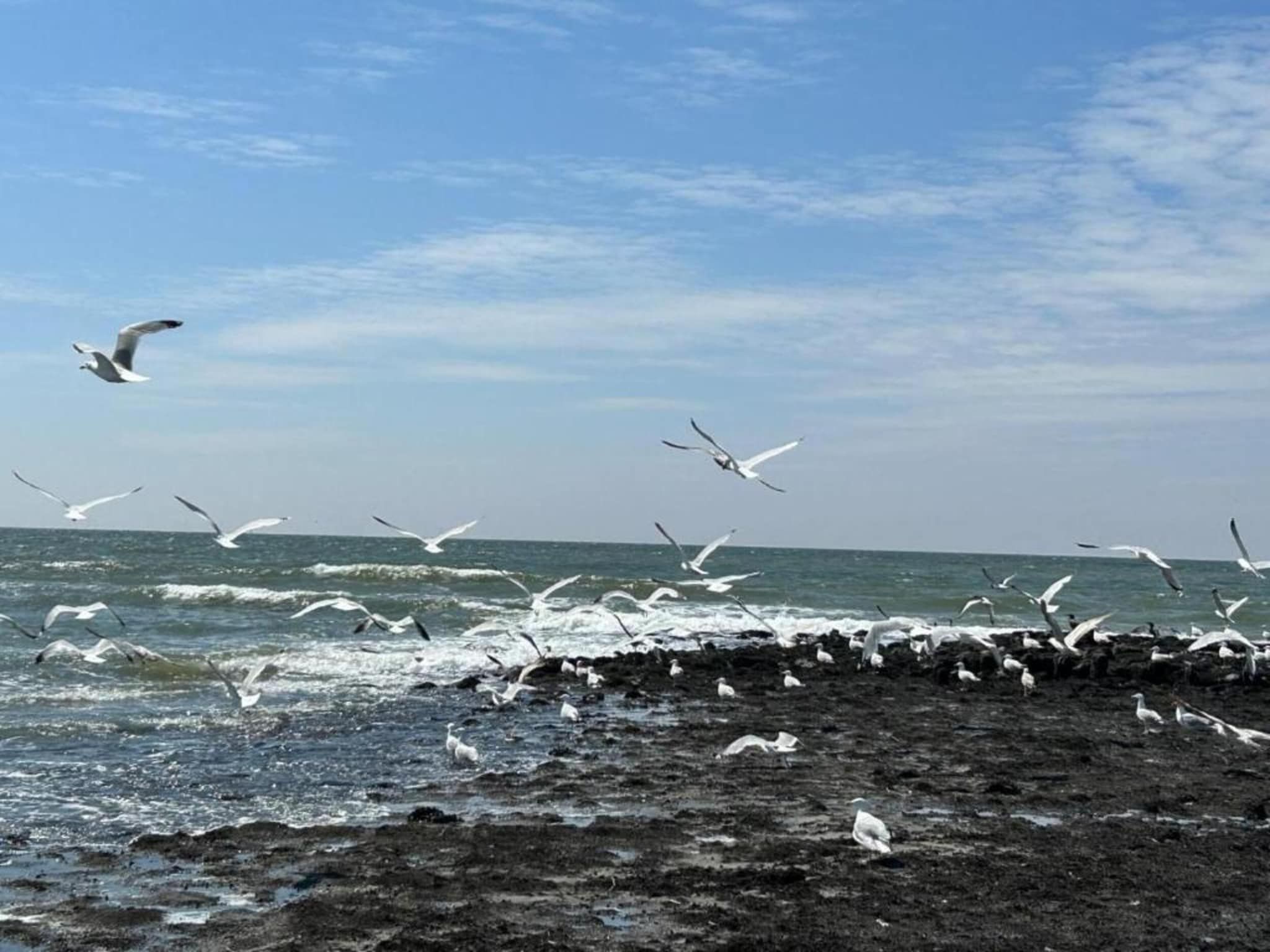 De omgeving van Anzelhoef apartment West in Sint Maartenszee