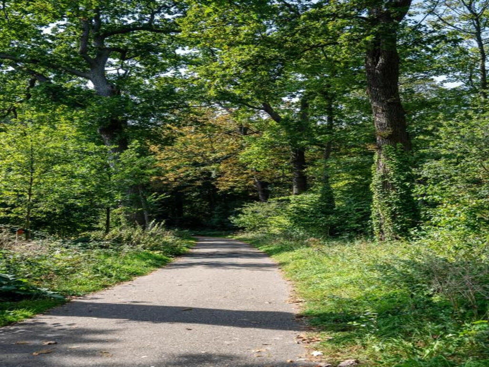 Delft 5B in Delft - Foto 31 van 40