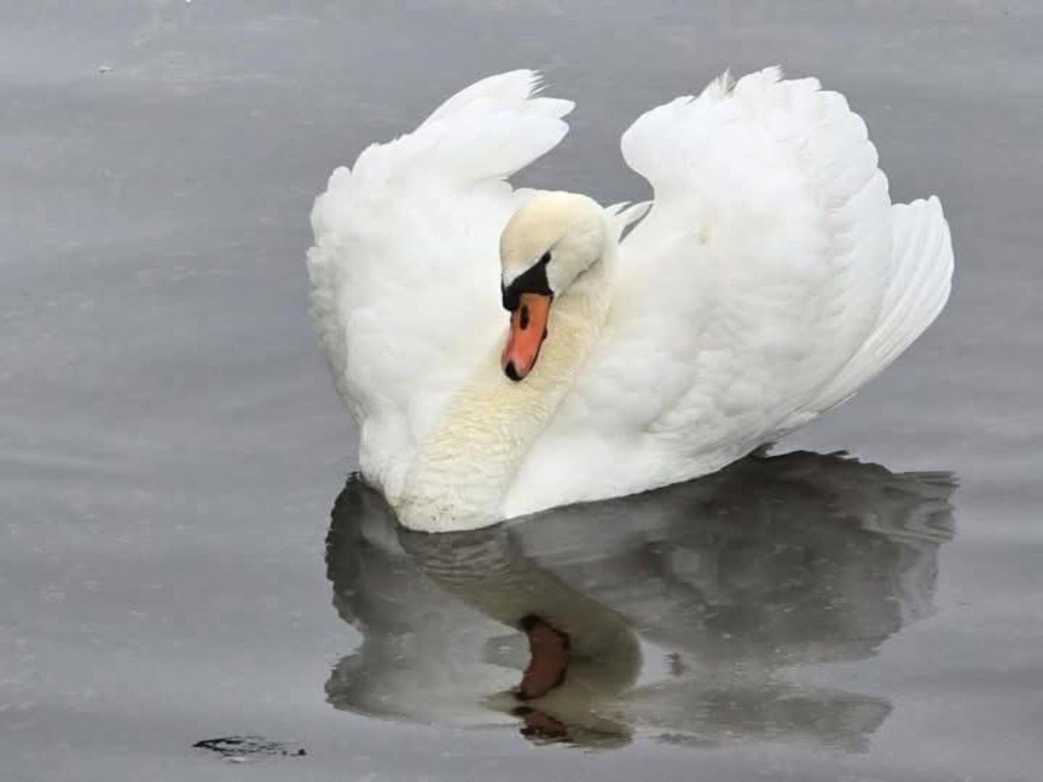 Delft 5B in Delft - Foto 29 van 40