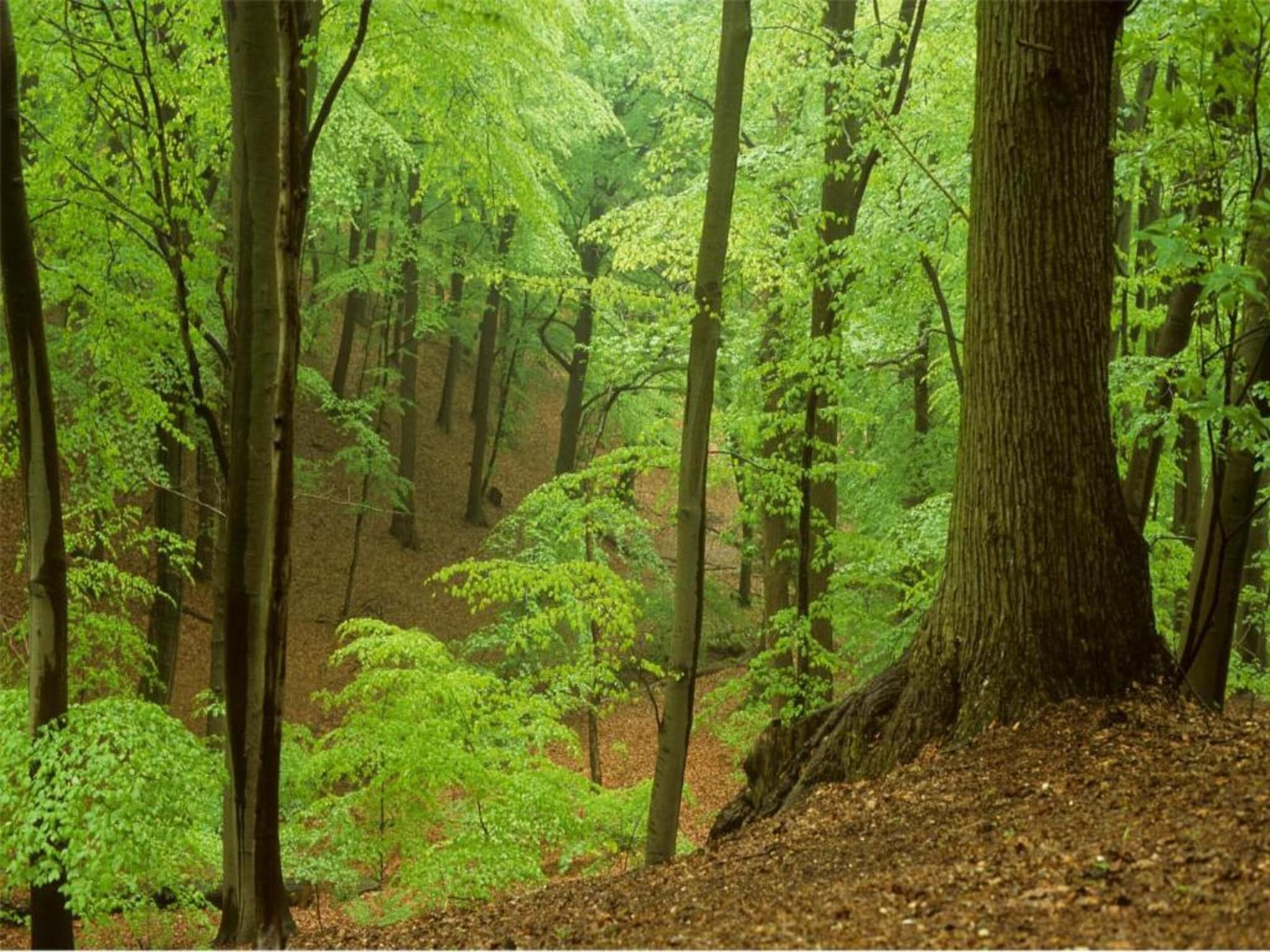 Vlugtenburg 16 in s Gravenzande - Foto 12 van 29