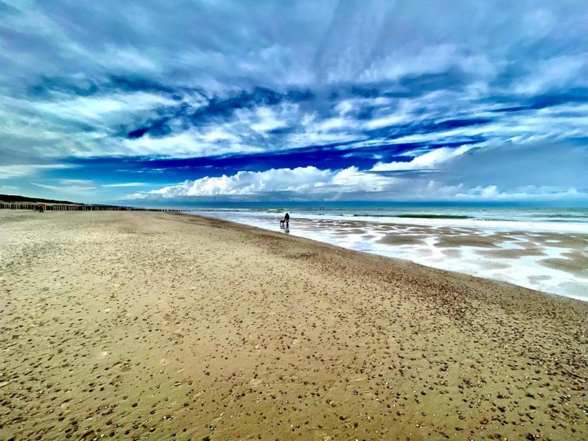 De omgeving van Lijsterhofstraat 13 - Knusse vakantiewoning nabij strand en centrum in Domburg