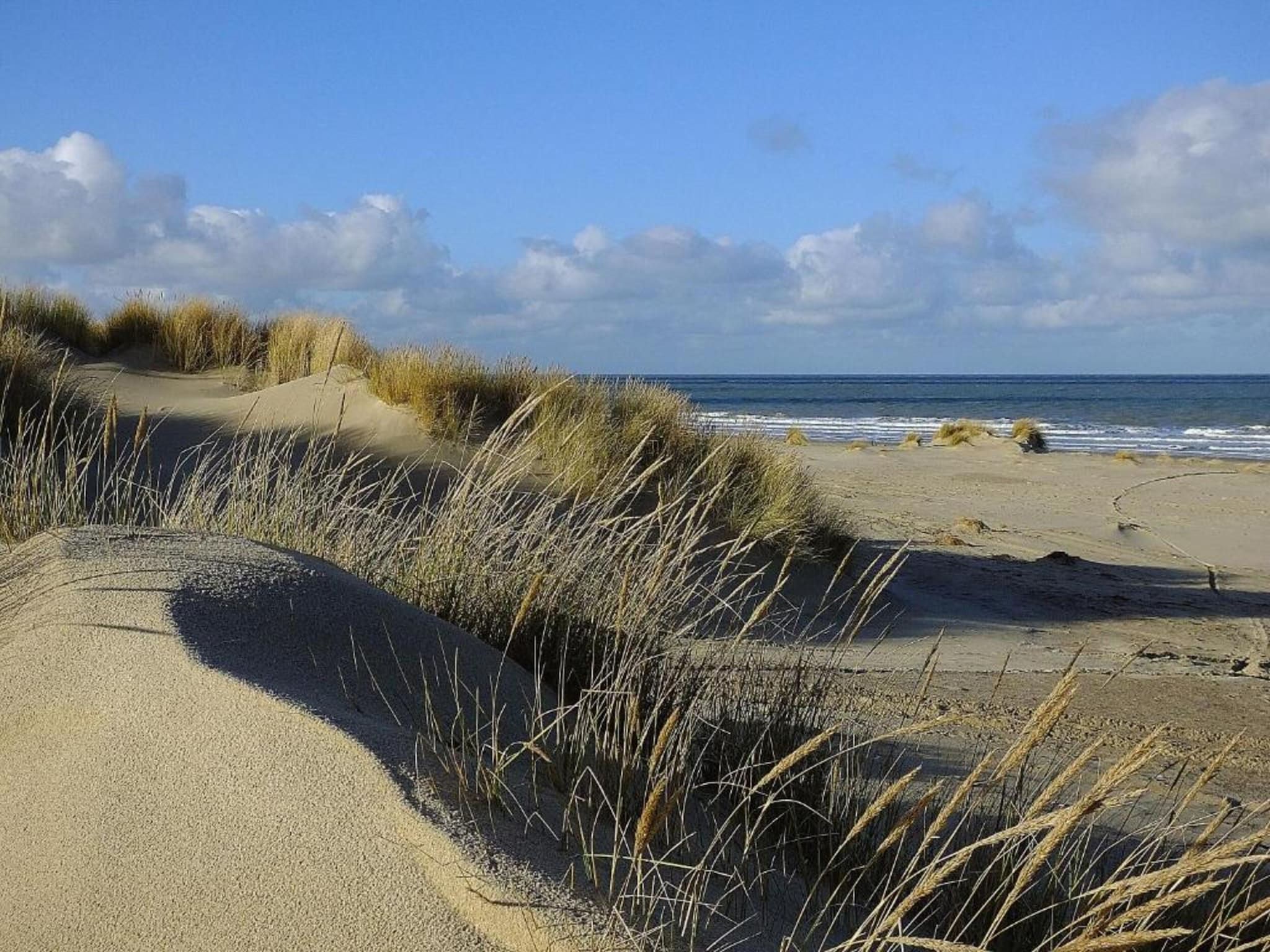 De omgeving van Lijsterhofstraat 13 - Knusse vakantiewoning nabij strand en centrum in Domburg