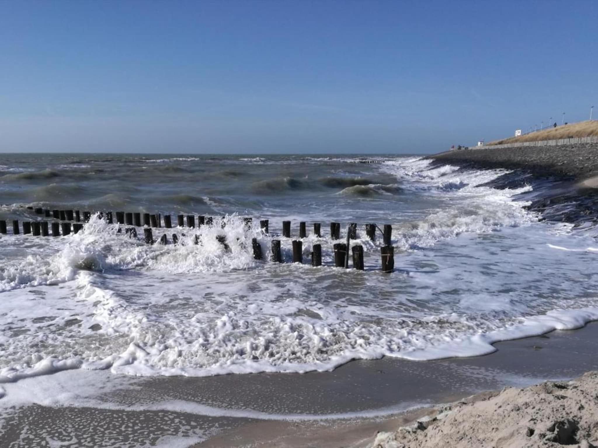 De omgeving van WoesteHoeve in Biggekerke