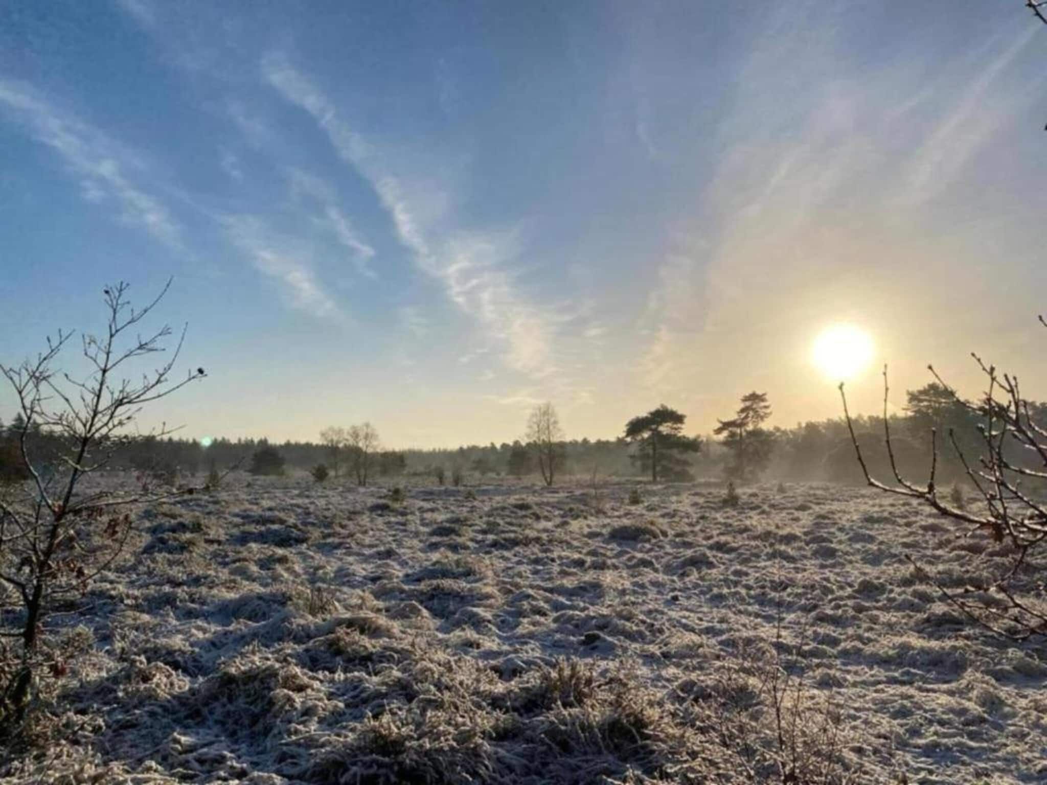 De omgeving van Heivlinder 4p in Ermelo
