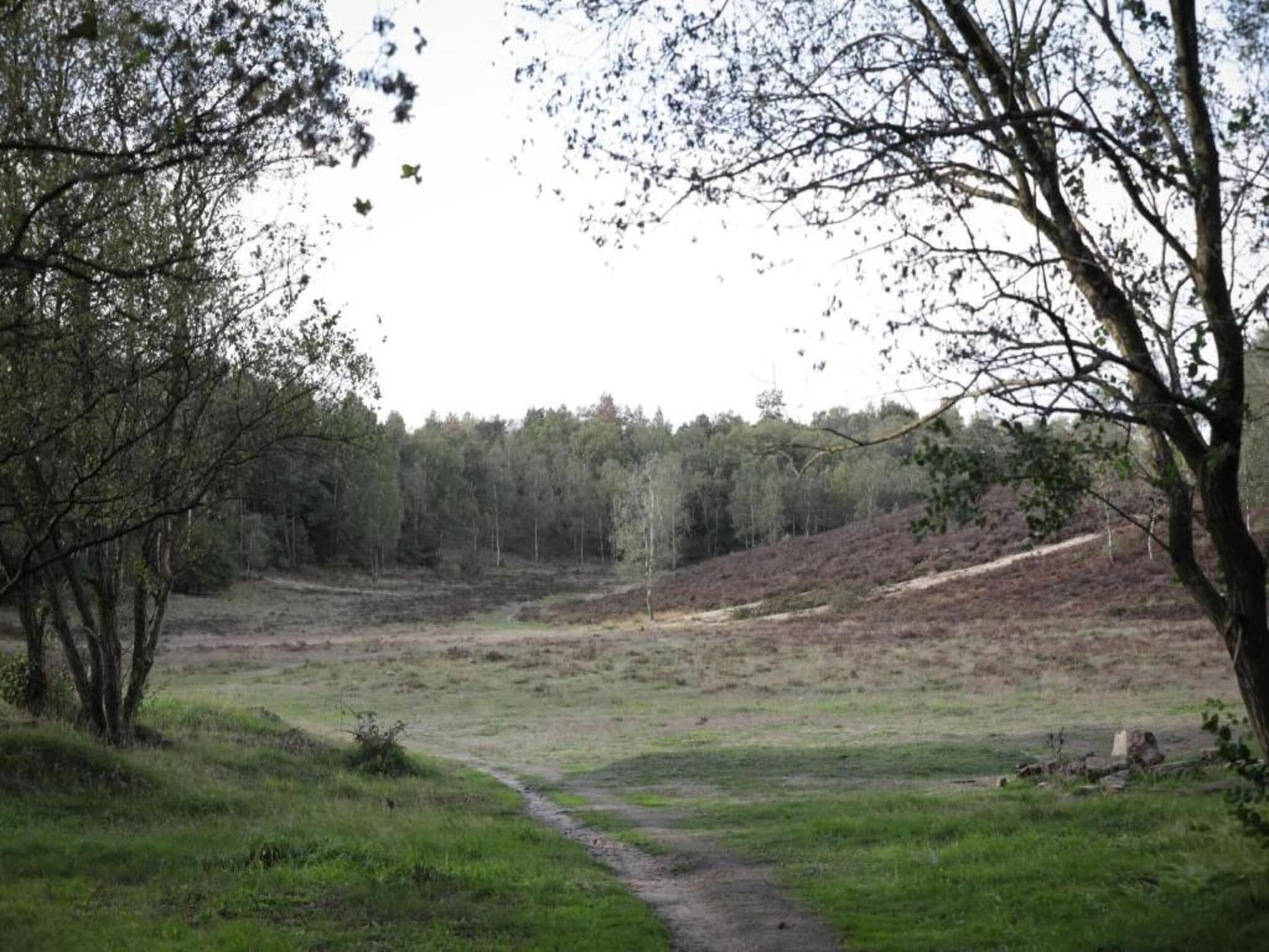 De omgeving van Heivlinder 4p in Ermelo