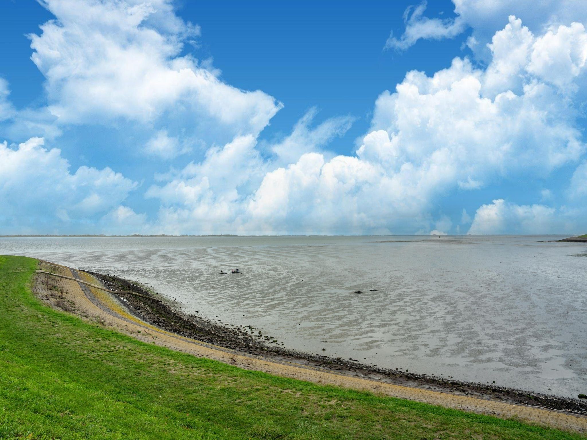 De omgeving van Wulpdal 63 in Scherpenisse