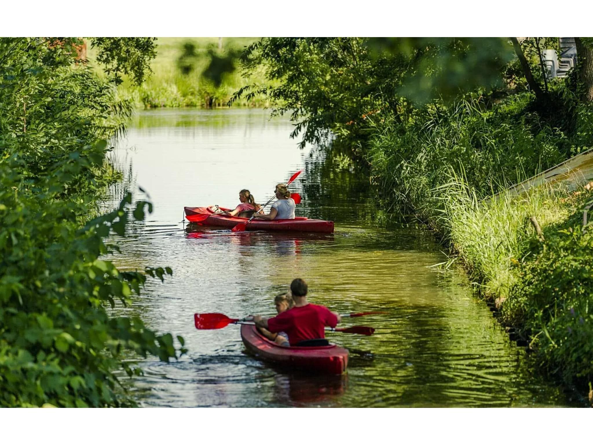 De omgeving van 4-persoons wellness lodge in Markelo