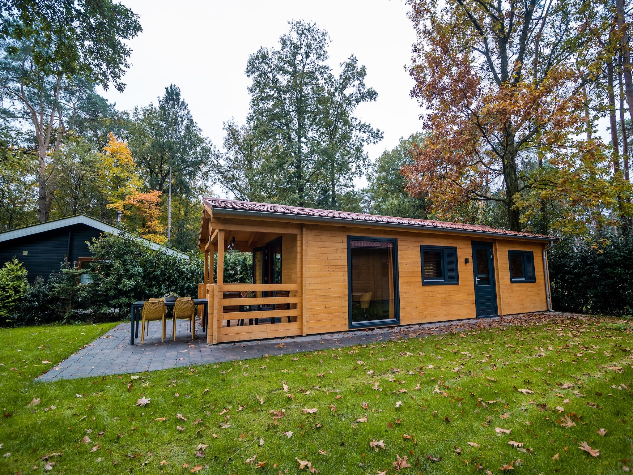 De tuin van 4-persoons wellness lodge in Markelo