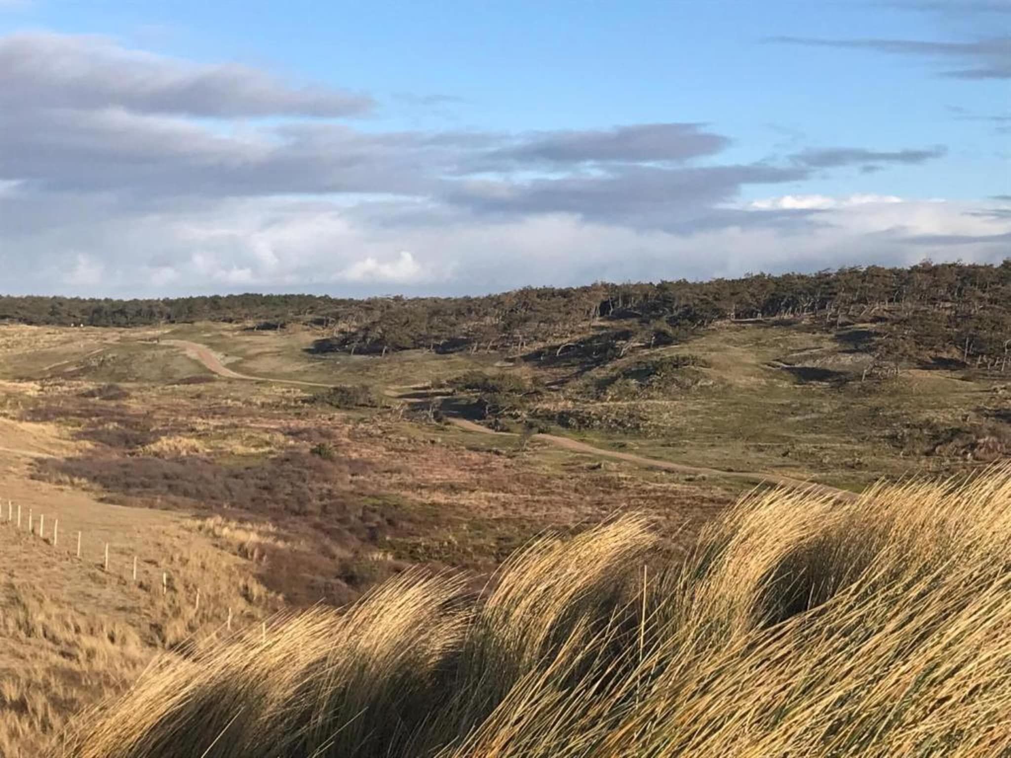 De omgeving van Belkmerduinen 31 in Sint Maartenszee
